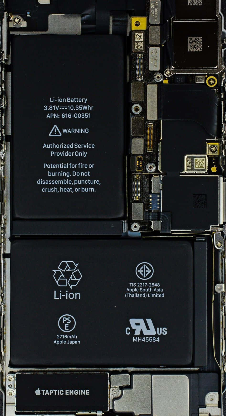 iPhone 內部組件包括電池和電路板