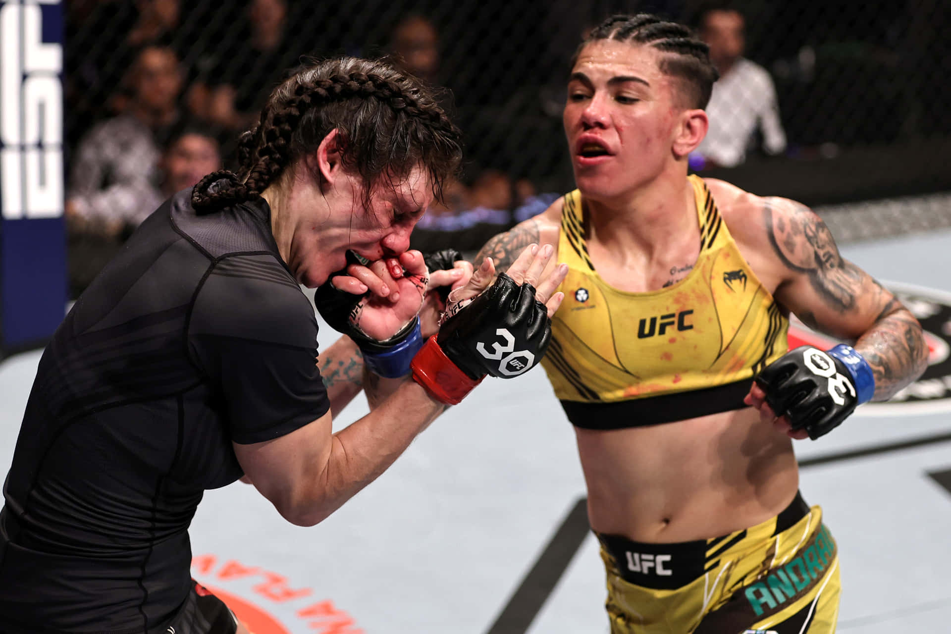 兩名女性MMA拳手在UFC八角籠中互換拳擊。