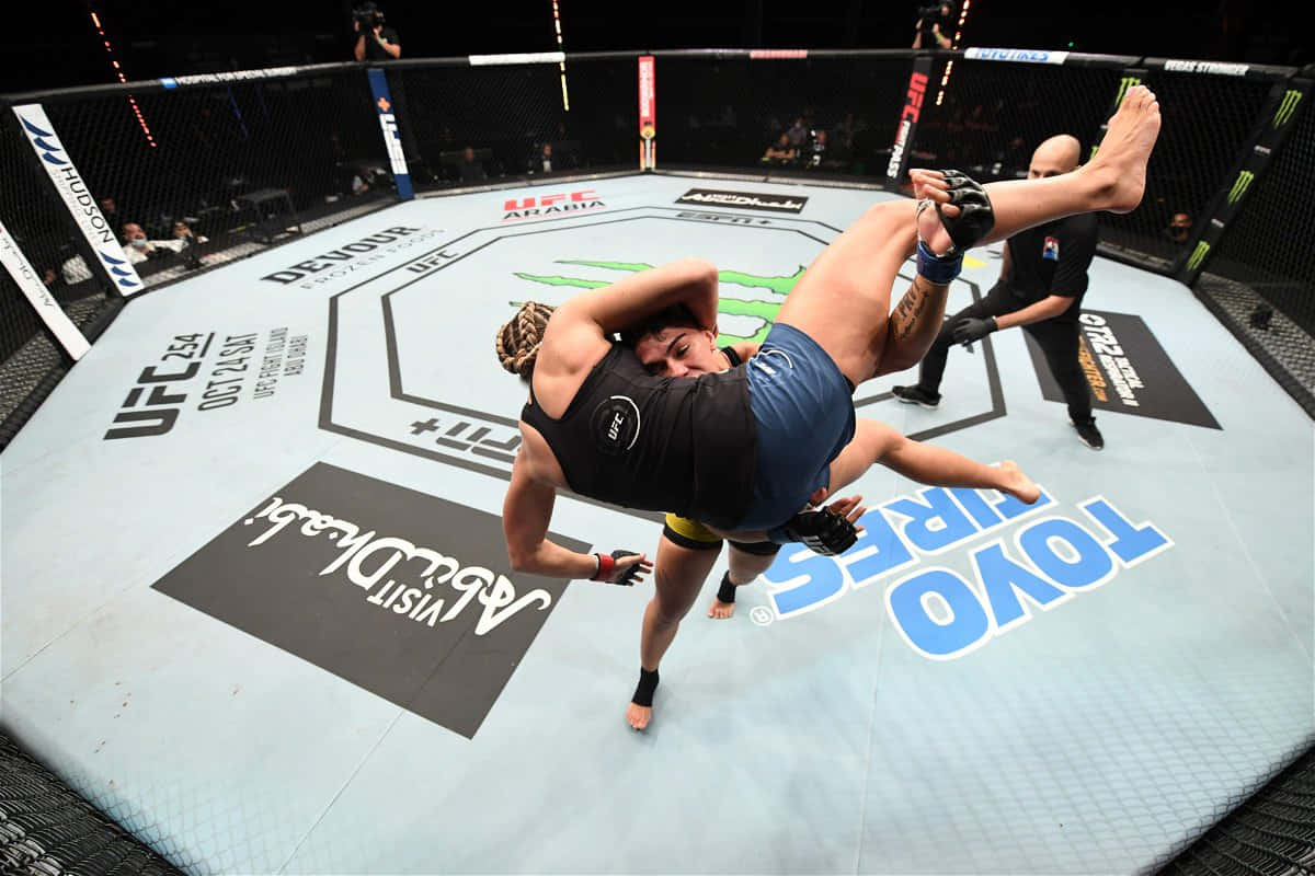 兩名MMA拳手在比賽期間於UFC八角籠內展開對戰。