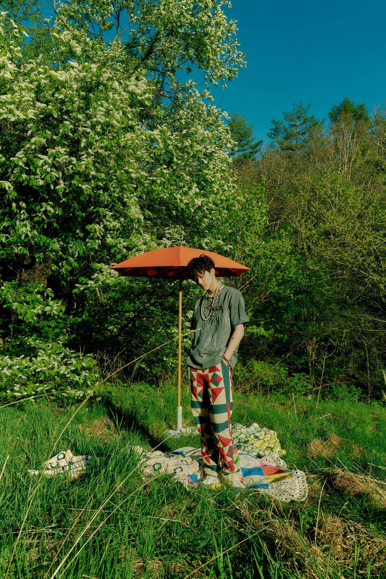 年輕男子、紅色雨傘、圖案毯子、陽光草地、樹木。