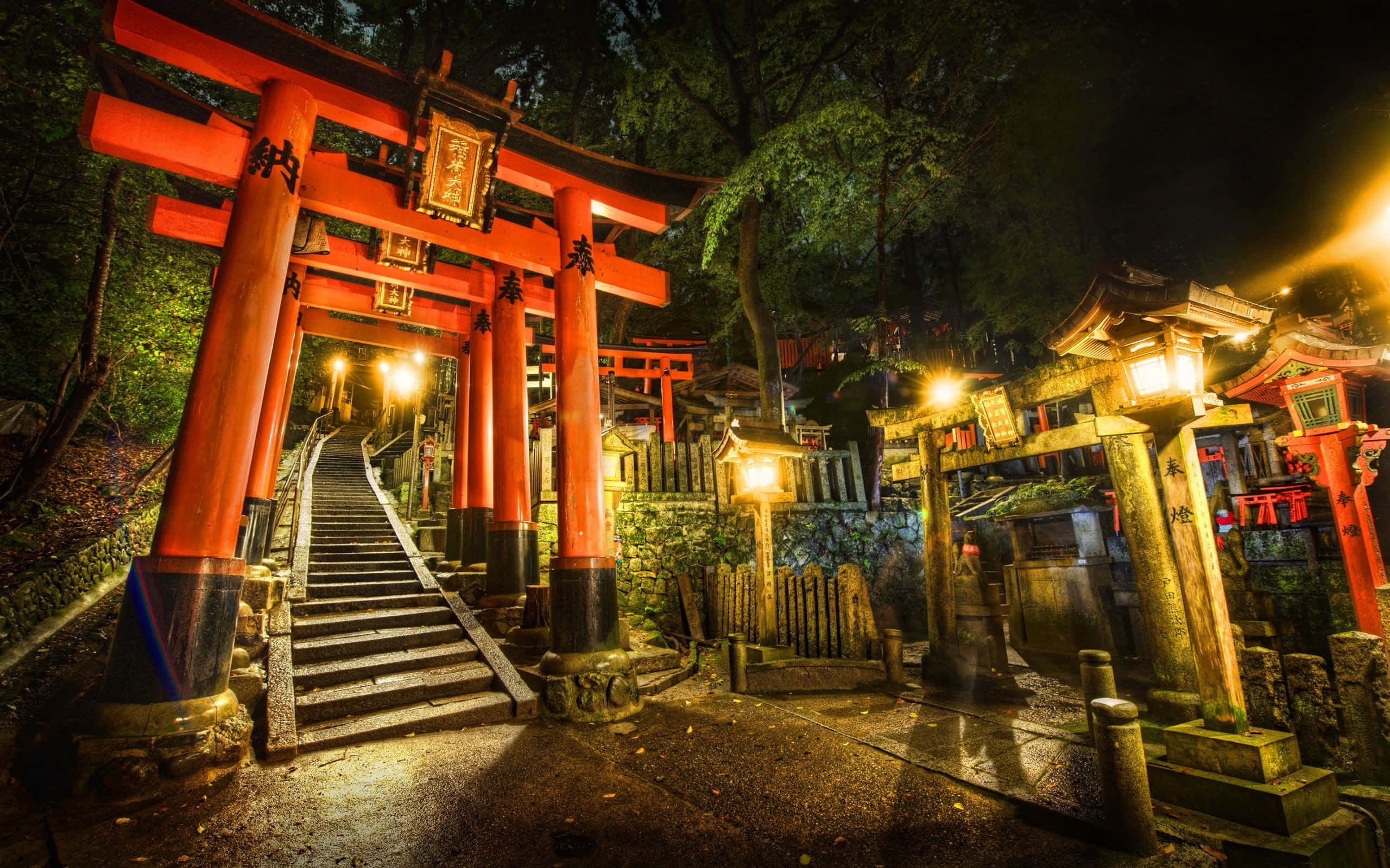 紅色鳥居被燈籠照亮，沿著夜間森林神社的石階排列。