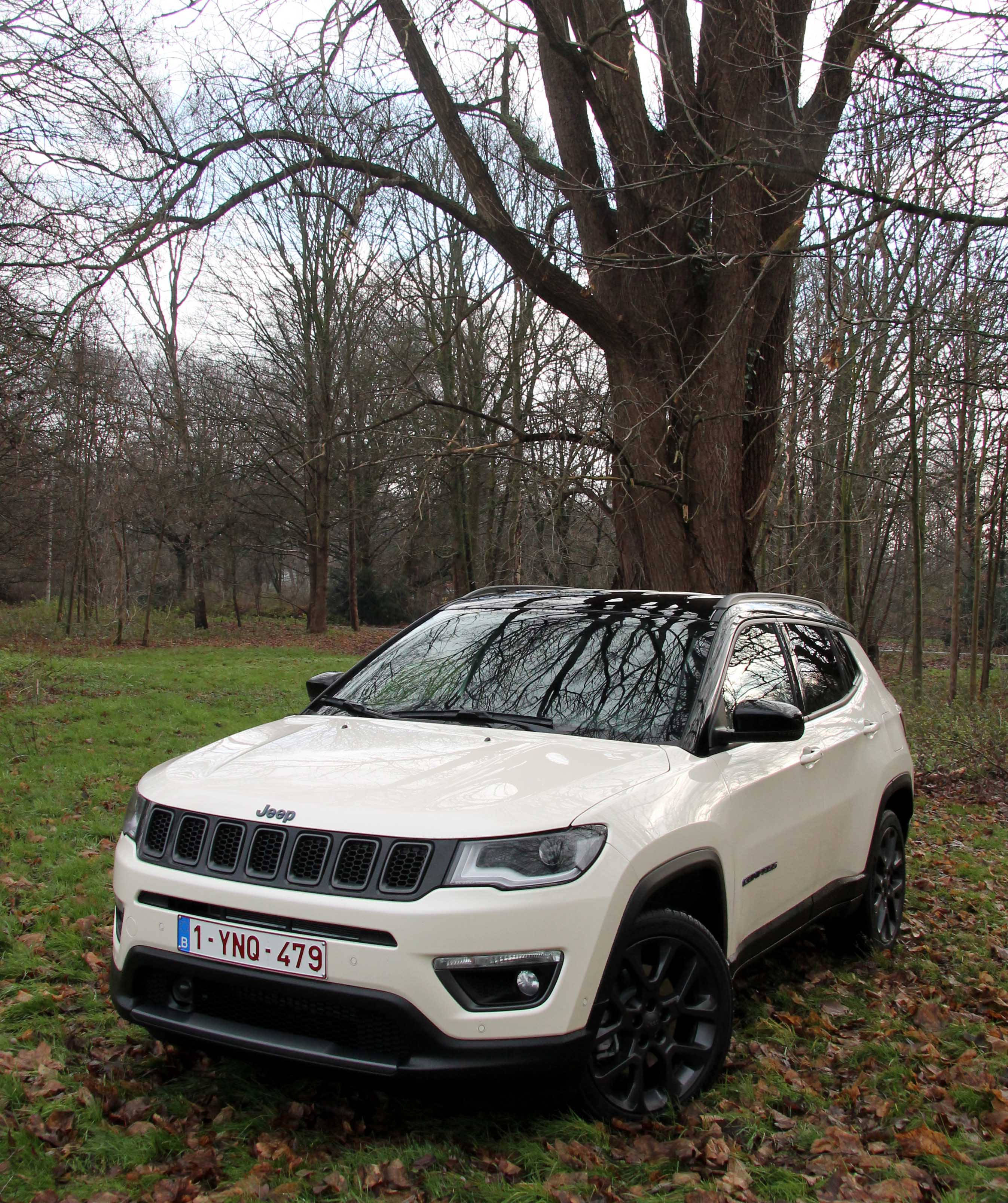 樹下停泊的白色Jeep Compass 壁紙 — 一輛白色Jeep Compass停泊在寧靜森林中光禿樹下的草地上，地上有落葉。