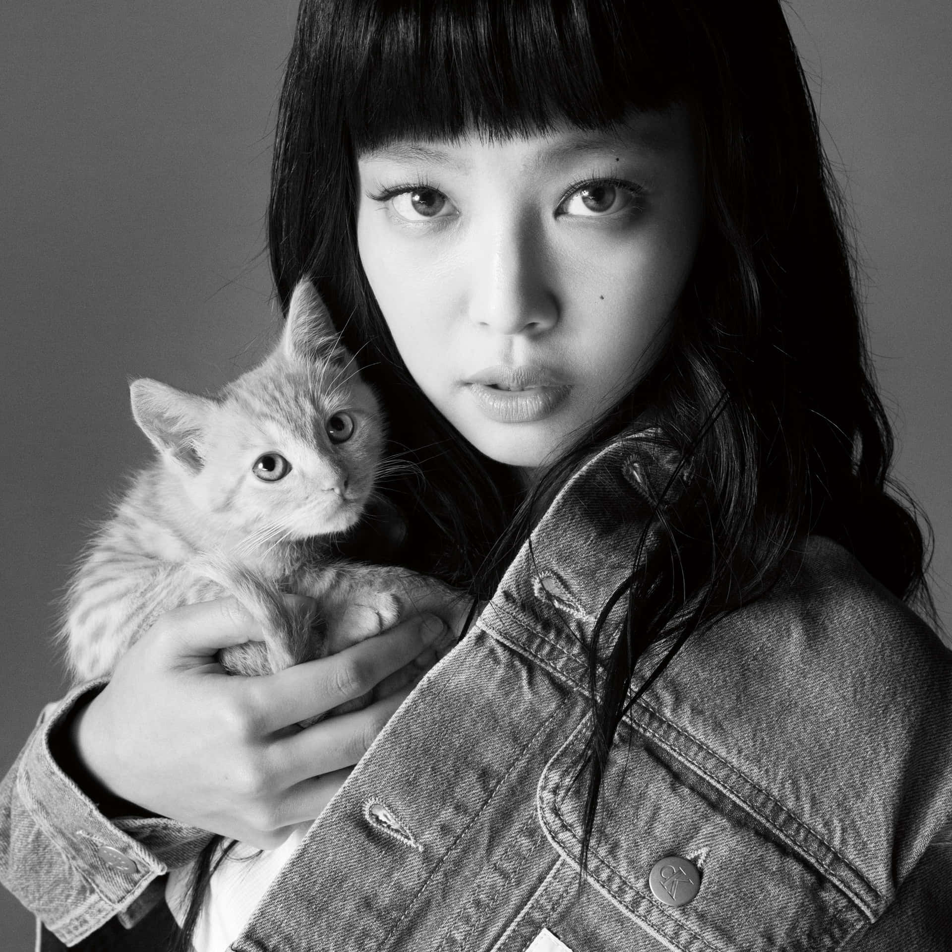 Jennie Kim 與小貓黑白照 壁紙 — 一位身穿牛仔外套的年輕女性在清晰的黑白工作室肖像中抱著一隻小貓咪。