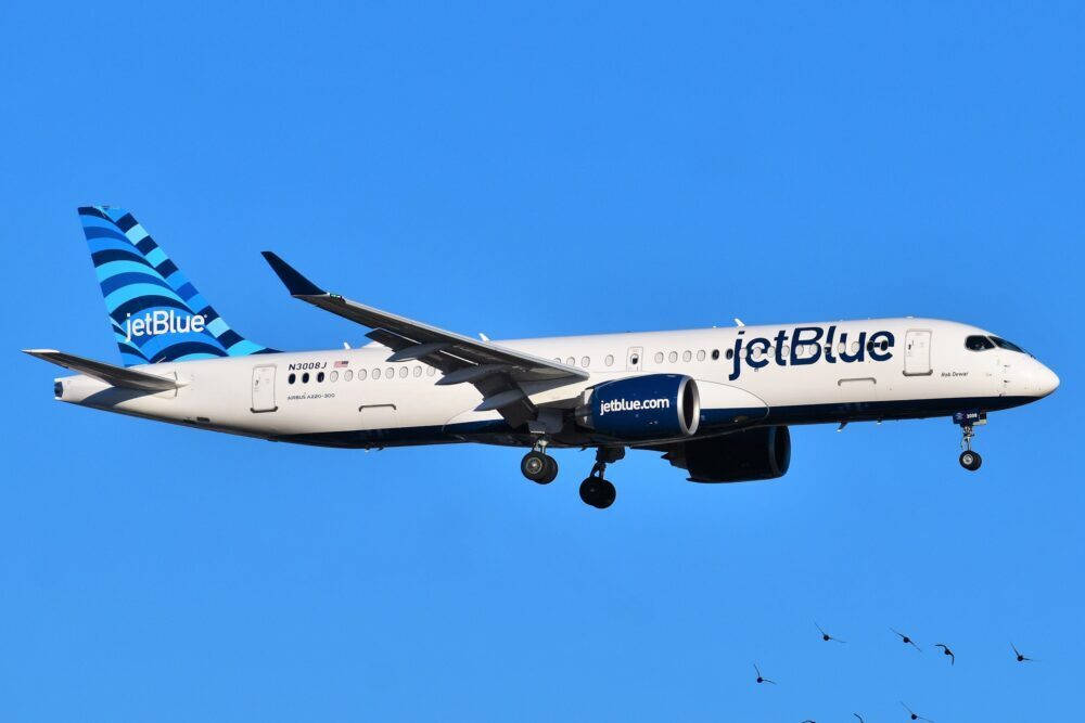 JetBlue飛機在晴朗的藍天下著陸，下方有鳥兒飛翔。