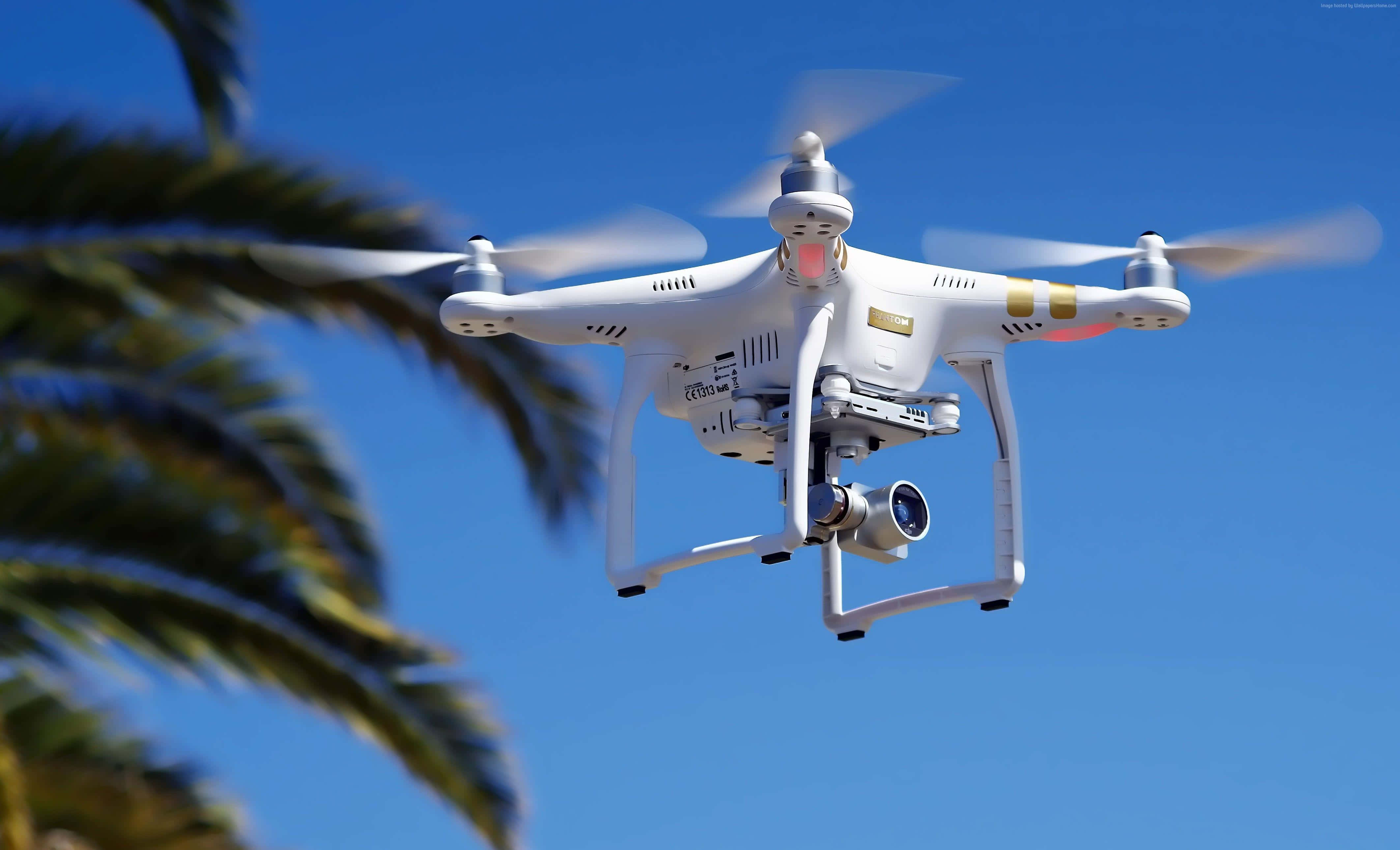 Drone Camera 桌布 壁紙 — 一架白色四軸無人機在晴朗的藍天下盤旋，前景有模糊的棕櫚葉。