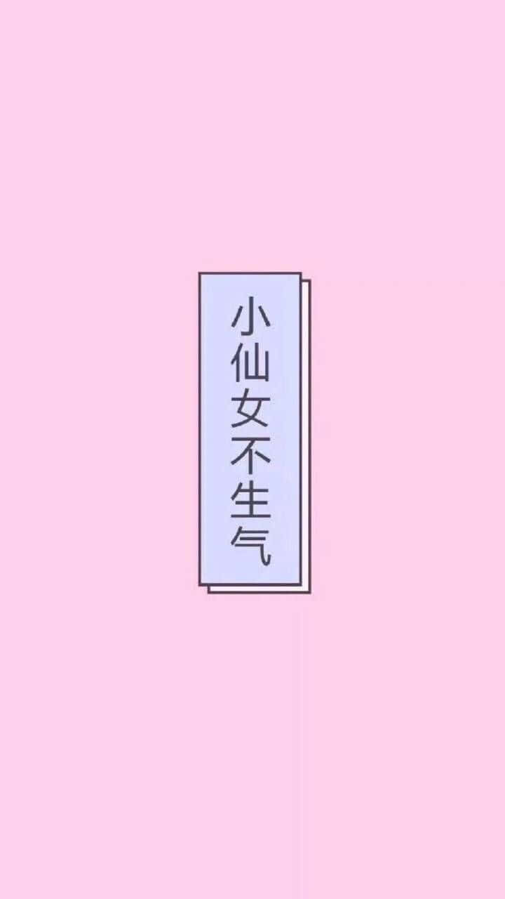  壁紙 — 一個簡約的粉紅色背景，上面有一個垂直的淺藍色長方形，裏面有黑色的中文文字「小仙女不生氣」。