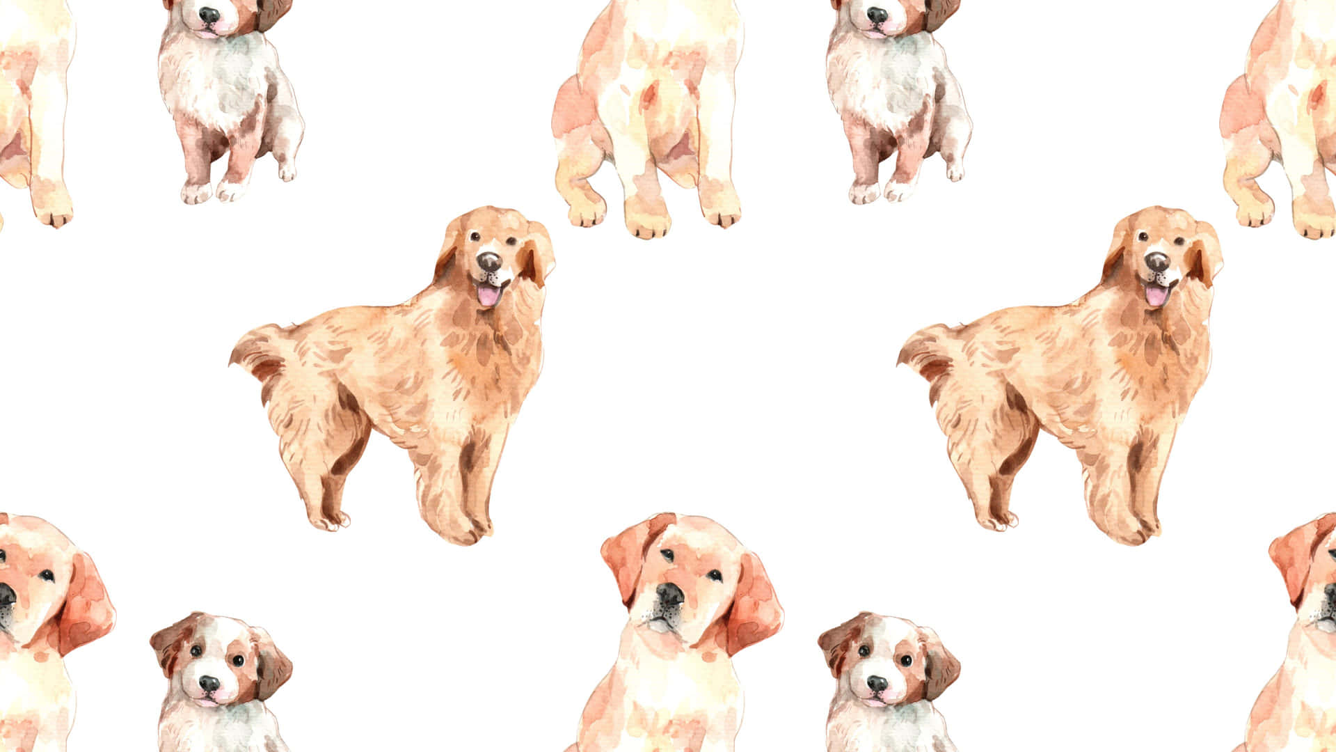金毛尋回犬及幼犬重複圖案的水彩插圖。
