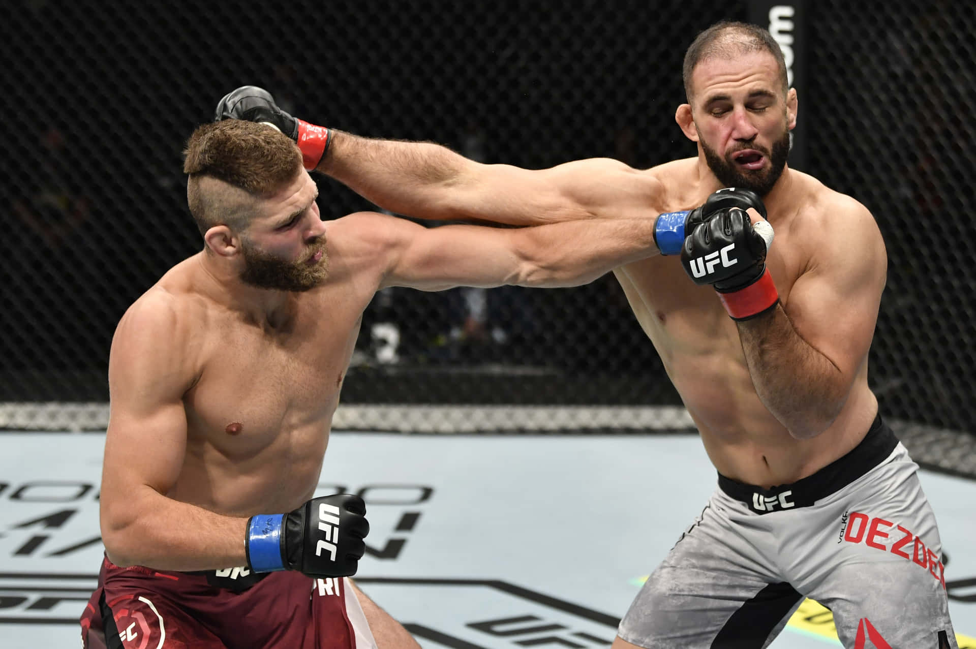 兩名戴著MMA手套的男性拳手在八角形鐵籠內互相出拳。