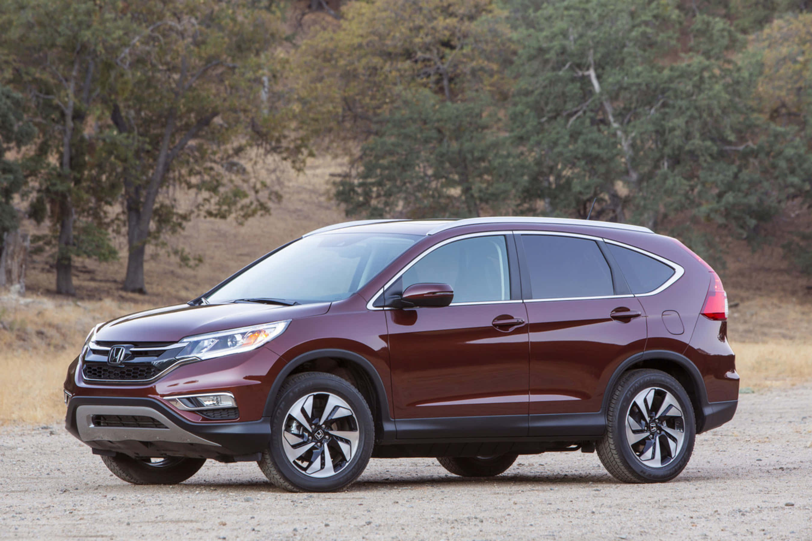 Honda Cr-v 桌布 壁紙 — 一架酒紅色本田CR-V SUV停泊在泥路上，周圍是乾草和茂密的樹木，在明亮的日光下。