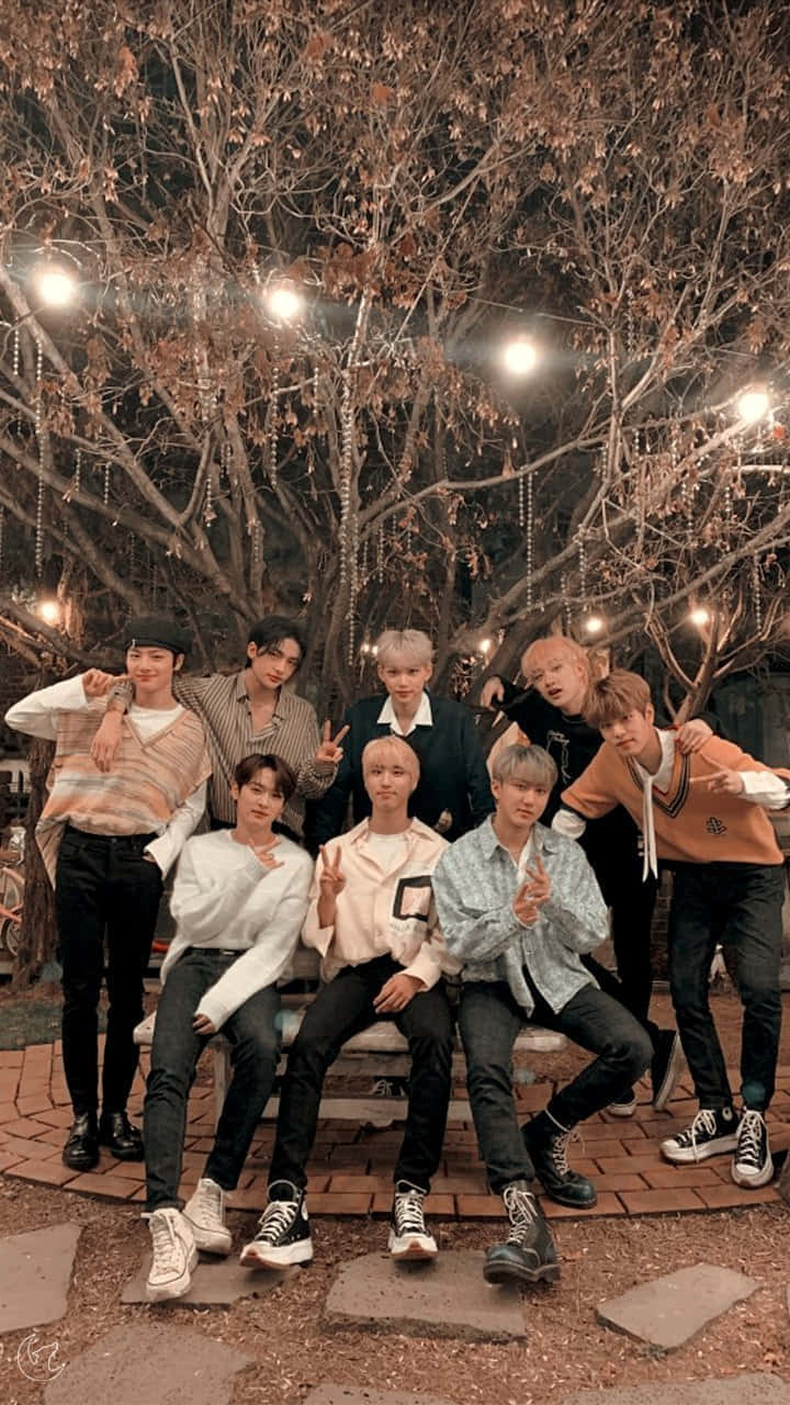 九名年輕男子在夜晚的公園裡一起在燈串下擺姿勢。 — Stray kids GIF 壁紙