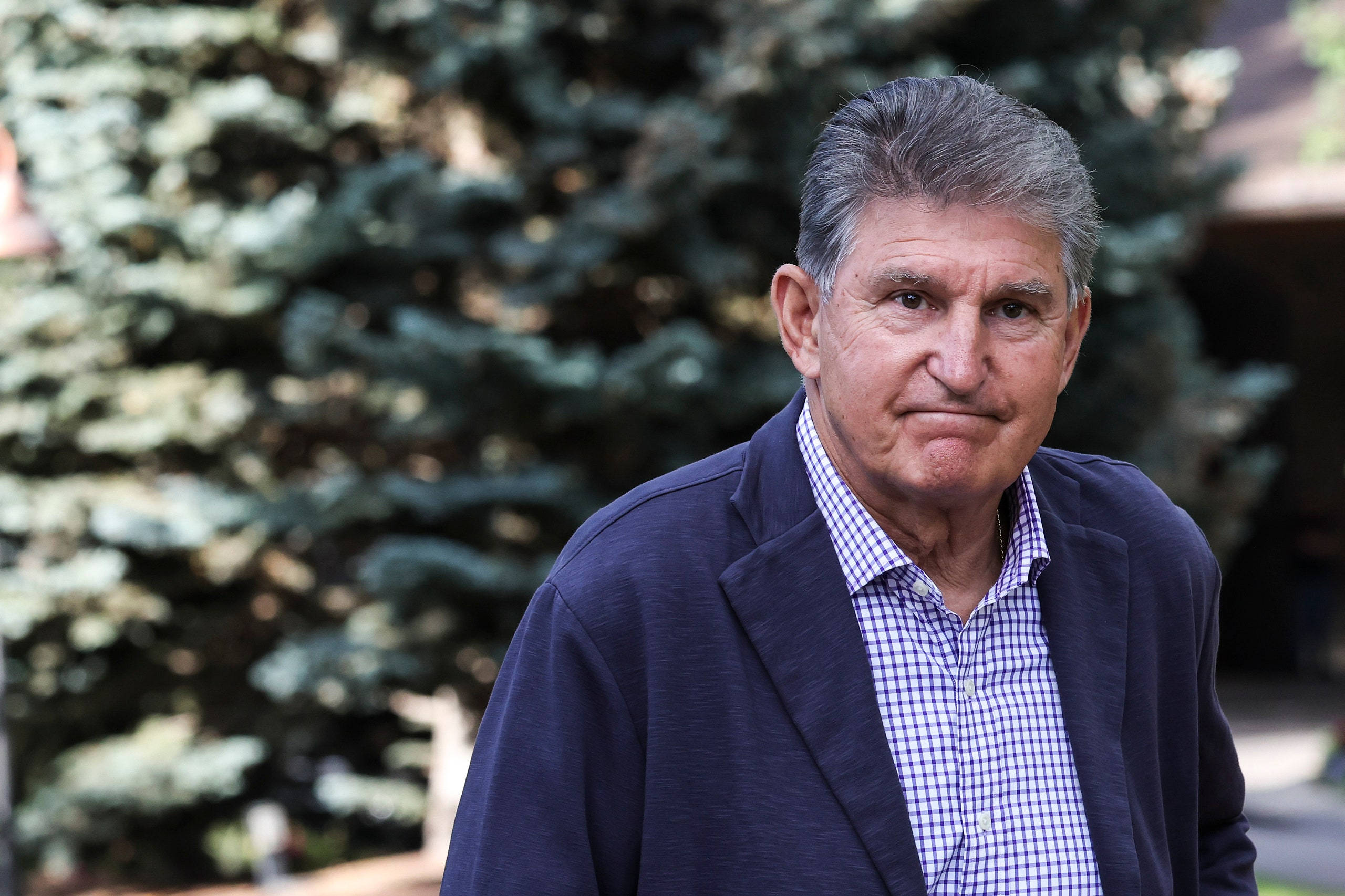 Joe Manchin 看起來像長者 壁紙 — 一位嚴肅的中年男子身穿海軍藍西裝外套和格子襯衫，站在戶外，身後是模糊的常綠樹。