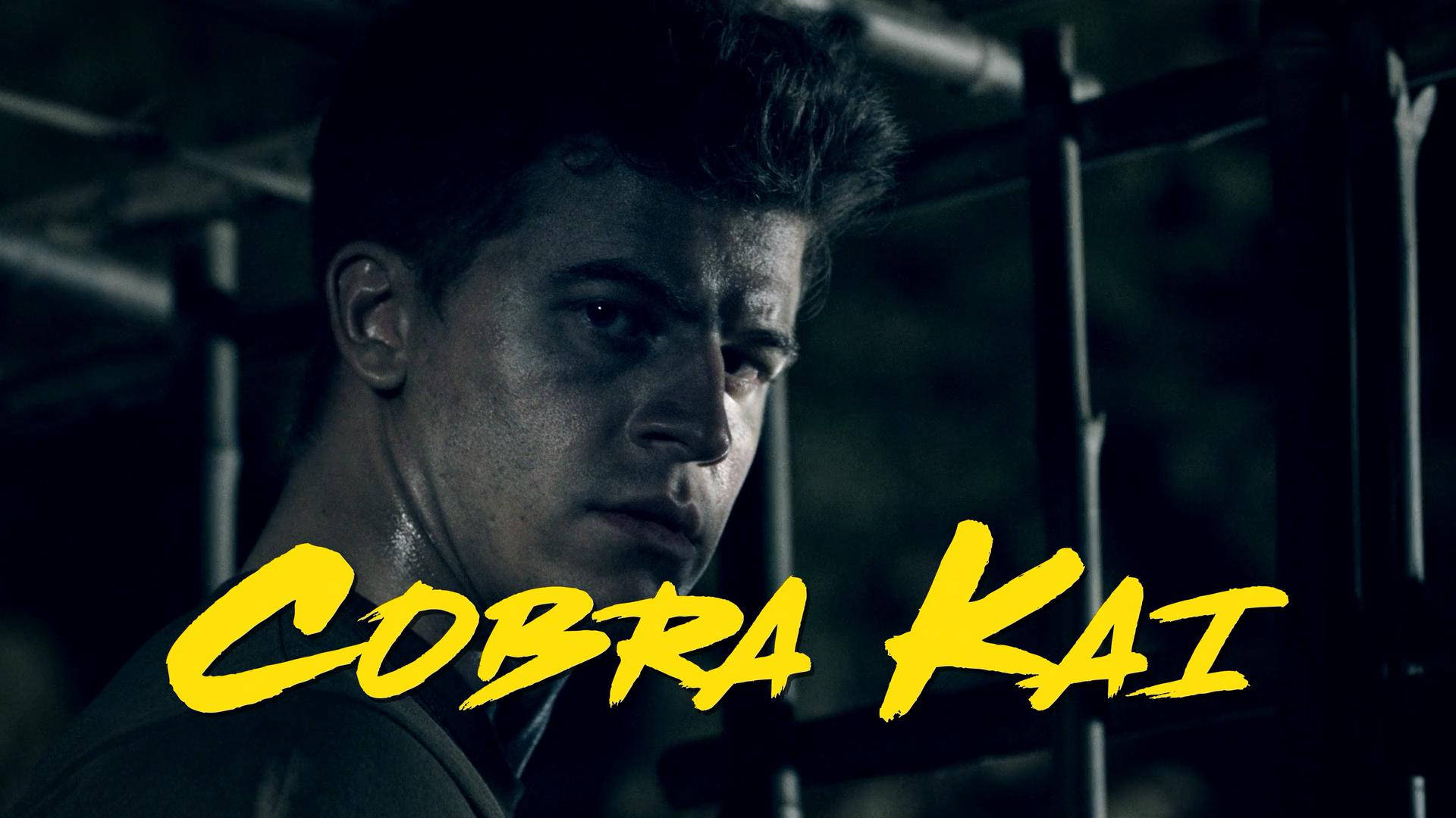 昏暗健身室中的年輕武術家，帶有 'Cobra Kai' 標題文字。