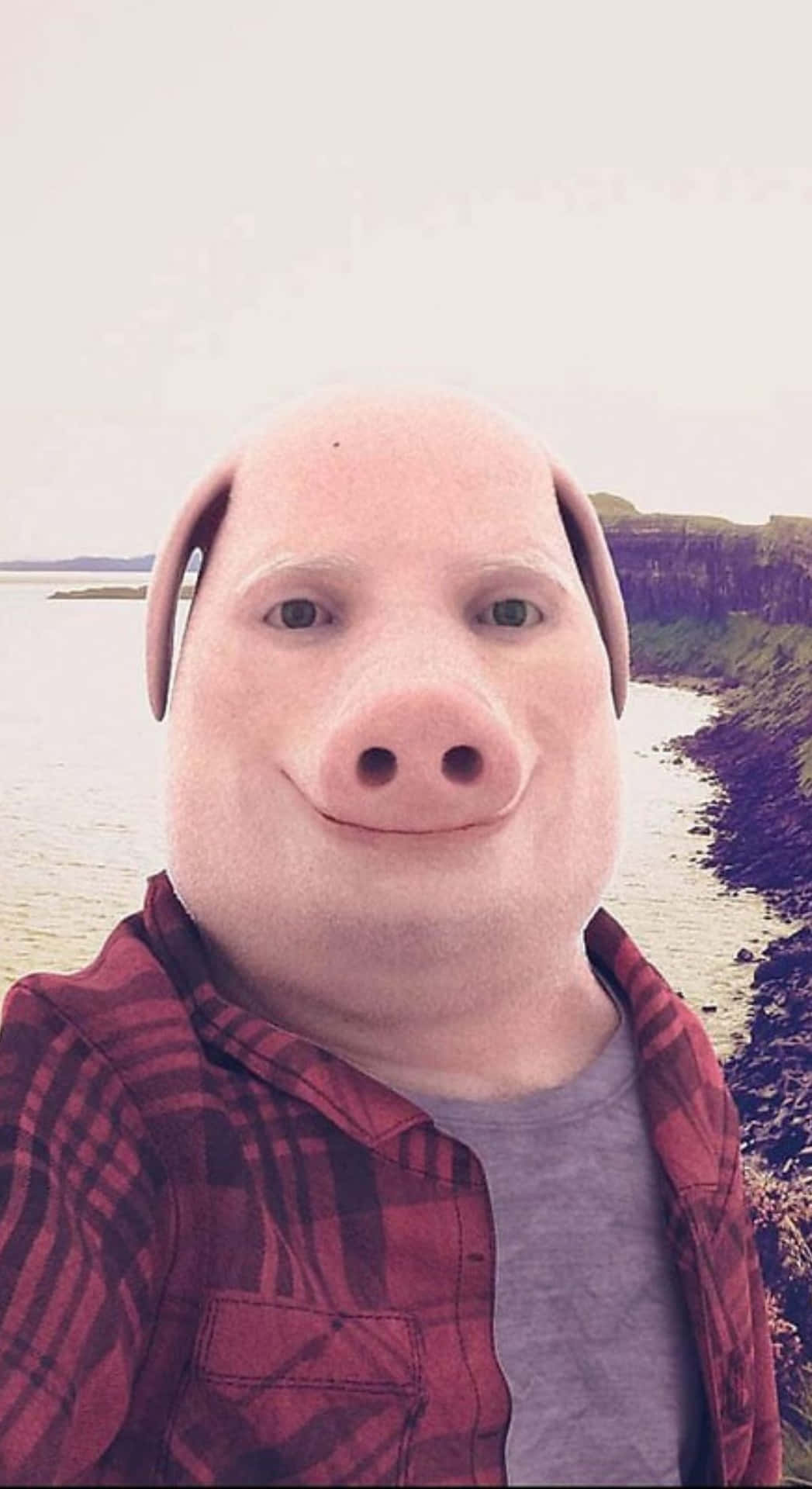 John Pork 角色自拍 壁紙 — 一個人戴著豬面具，在平靜的海岸懸崖背景下對著鏡頭微笑。