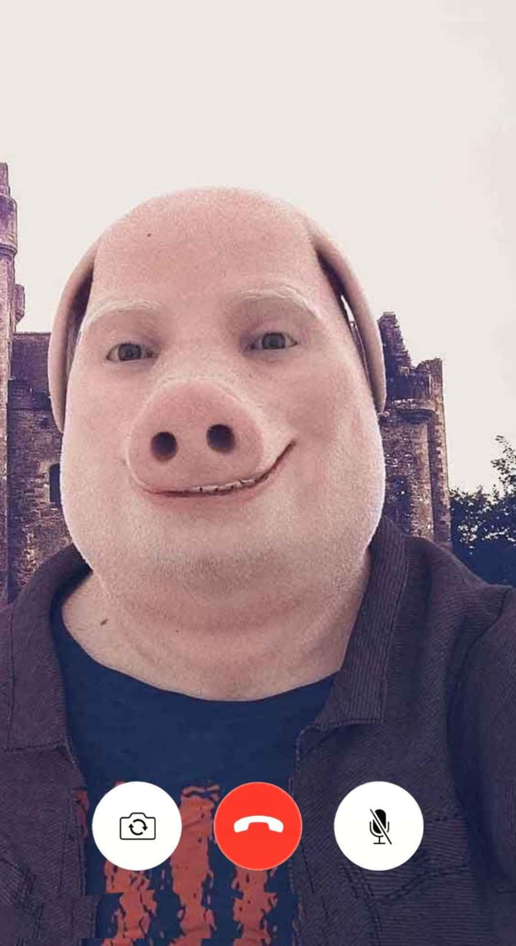 John Pork 面部濾鏡 壁紙 — 一個人戴著豬濾鏡在城堡背景下進行視訊通話時微笑。