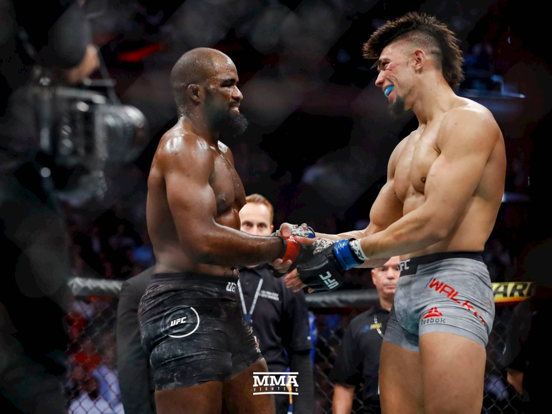 兩名MMA拳手在職業比賽期間於八角籠中握手。