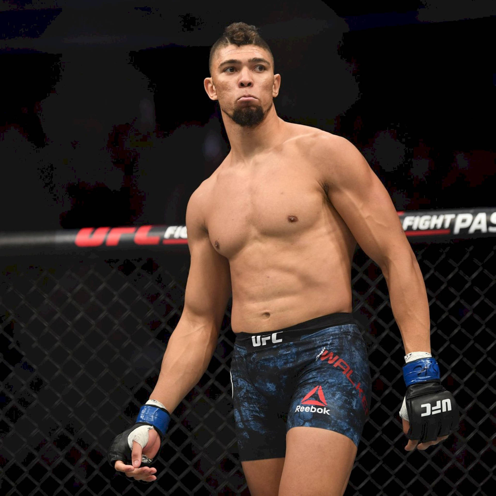 身穿藍色短褲和手套的UFC拳手在八角籠內。