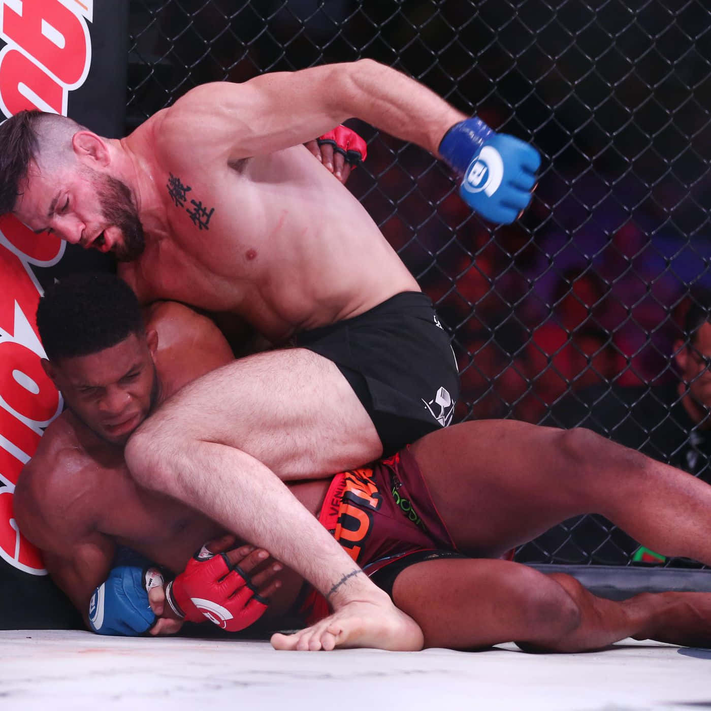 Jon Fitch對戰Paul Daley Bellator 199賽事 壁紙 — 兩名肌肉發達的拳手在明亮的場館燈光下，於綜合格鬥鐵籠賽中激烈纏鬥。