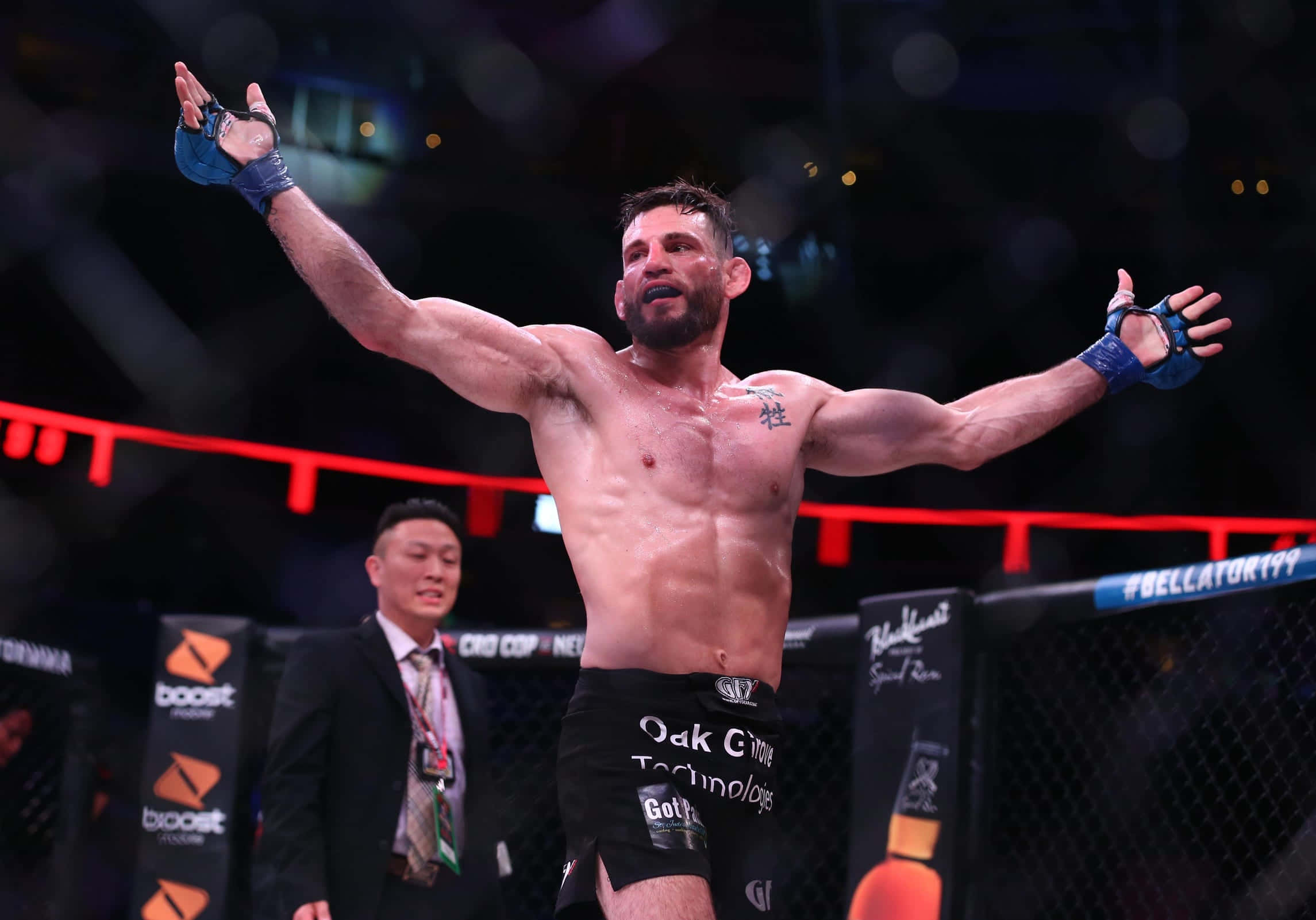 Jon Fitch慶祝Bellator 199勝利 壁紙 — 一位勝利的混合武術家在Bellator比賽期間，在燈光明亮的八角籠內高舉雙臂慶祝。