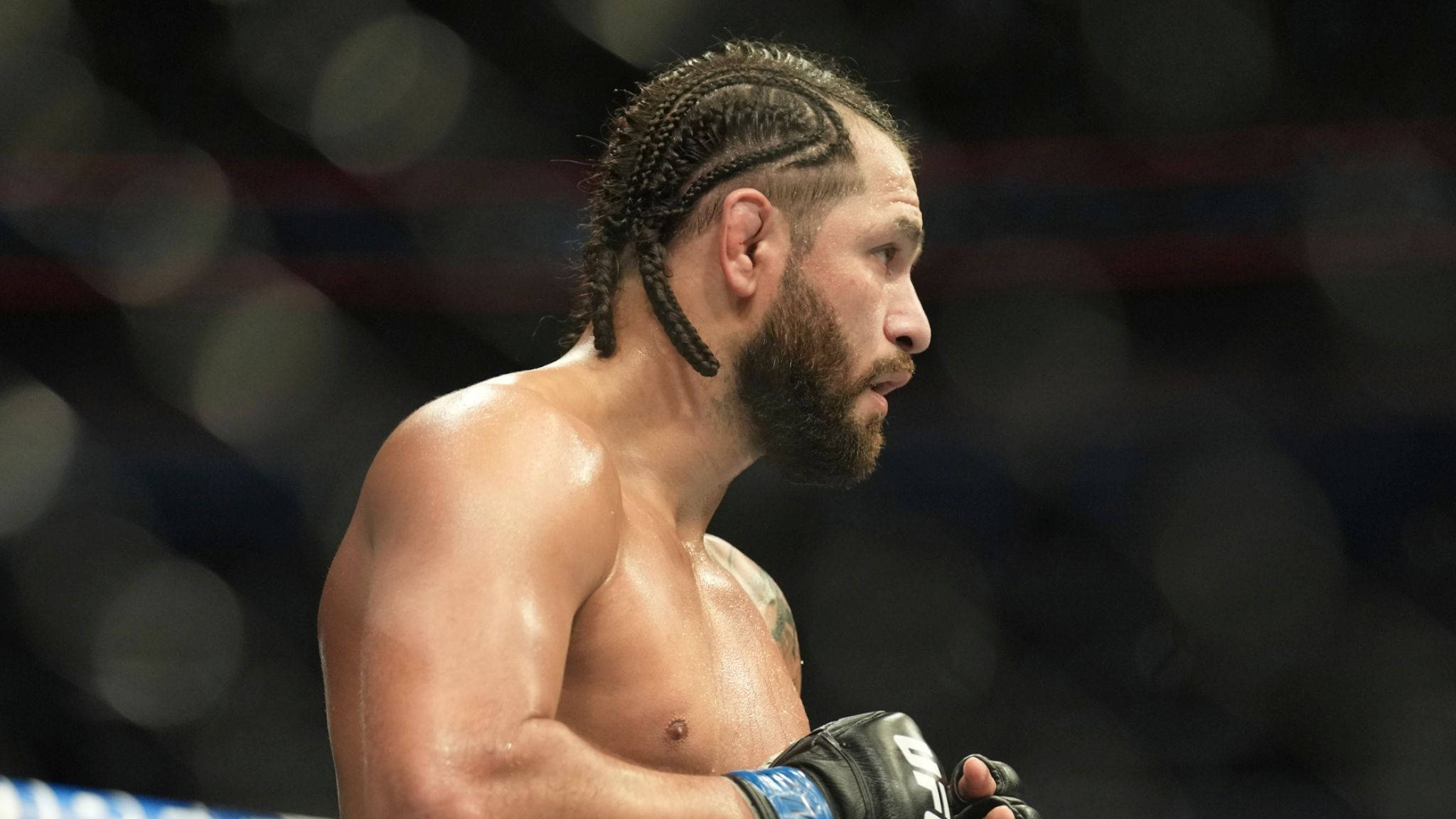 Jorge Masvidal 面部側影 壁紙 — 一位專注的混合武術家，編著辮子頭髮和鬍鬚，戴著手套站在搏擊擂台上。