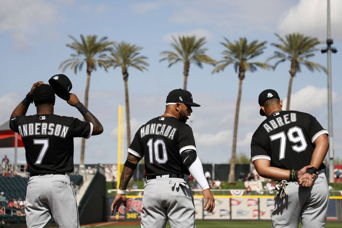 Jose Abreu 球隊 壁紙 — 三名身穿印有名字和號碼的黑色球衣的棒球運動員，站在陽光明媚的球場上，背後有棕櫚樹。