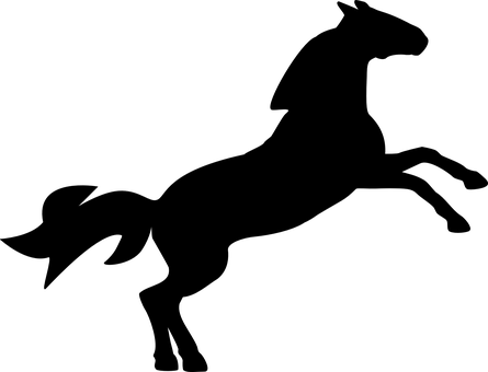 黑暗中嘅雄偉駿馬.JPG 壁紙