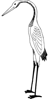 黑色畫面無內容.JPG 壁紙