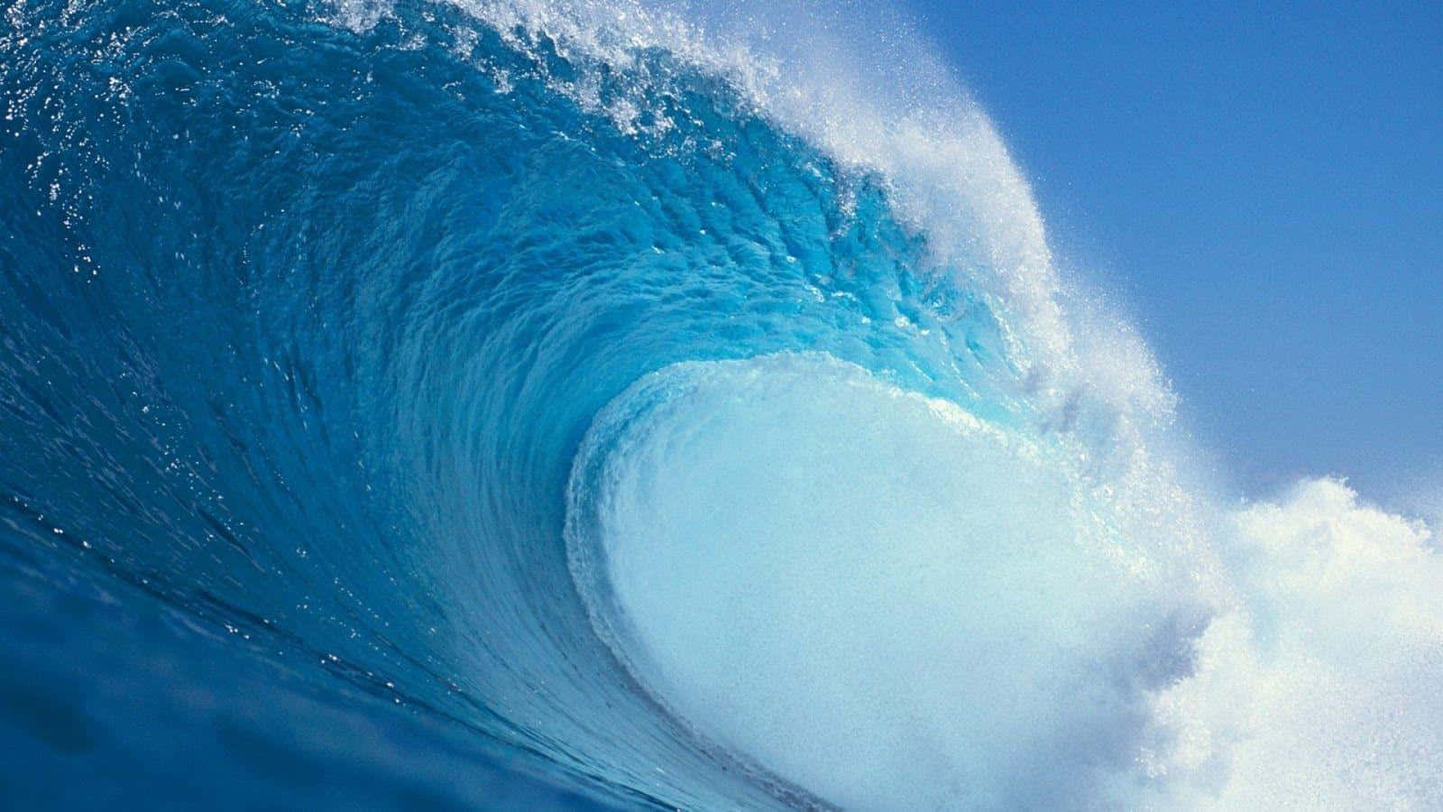 Beautiful Ocean 桌布 壁紙 — 巨大的藍綠色海浪在清澈的藍天下捲成完美的桶狀。