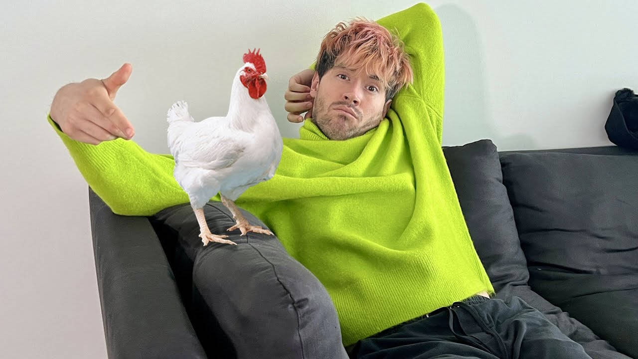 JuegaGerman 與母雞 壁紙 — 一個穿著亮綠色毛衣的男人懶洋洋地躺在沙發上，一隻白色的雞棲息在他的膝蓋上。
