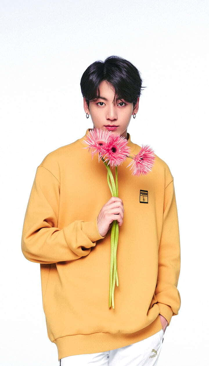Jungkook 的耀眼舞台風采 壁紙 — 一位身穿芥末黃色運動衫的年輕男子，在純白色背景前拿著粉紅色非洲菊雛菊。