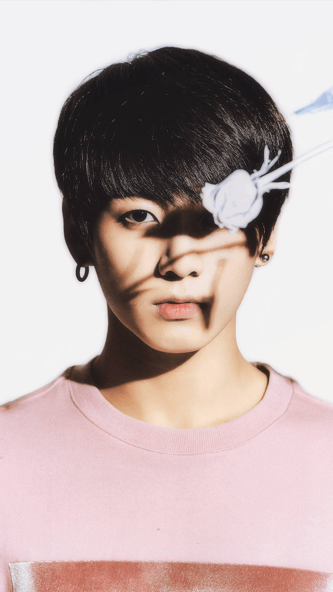 Jungkook 美學影子肖像 壁紙 — 一位黑髮粉紅色襯衫的年輕男子，在明亮的白色背景下，臉上有一朵白玫瑰和陰影。