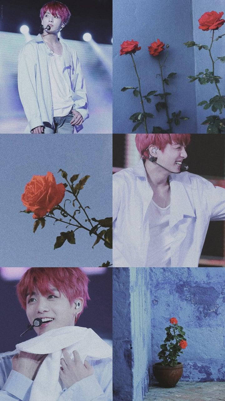 Jungkook 美學紅玫瑰 壁紙 — 一幅拼貼畫，描繪一位粉紅頭髮的表演者，身穿白色服裝，手持紅玫瑰，背景為藍色牆壁。