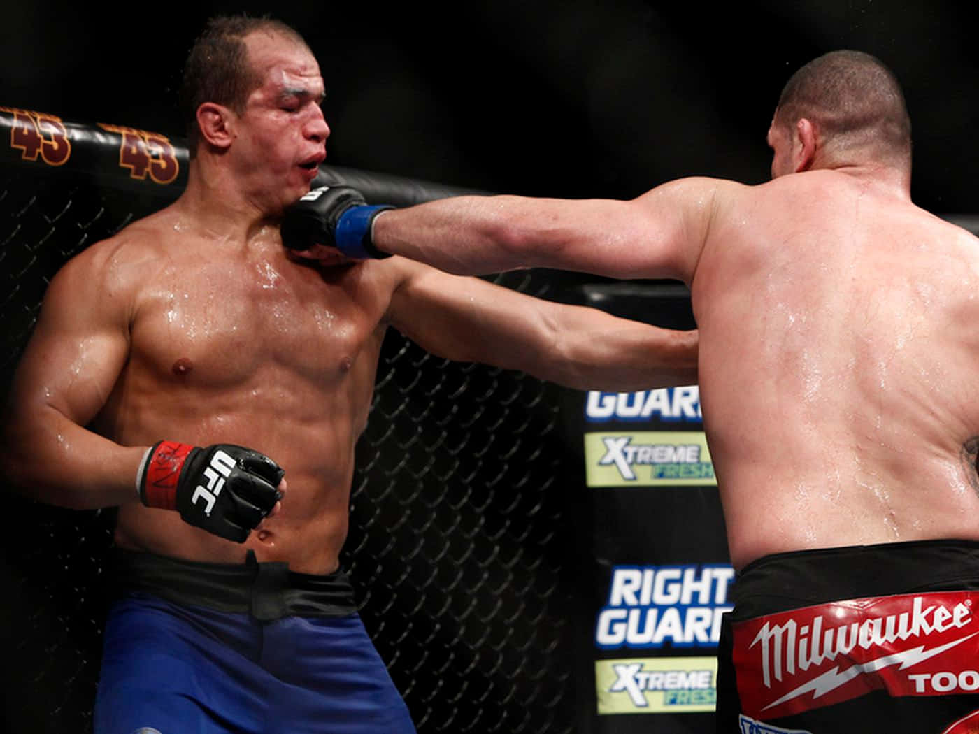 兩名男性拳手在MMA鐵籠內於比賽中交換一拳。