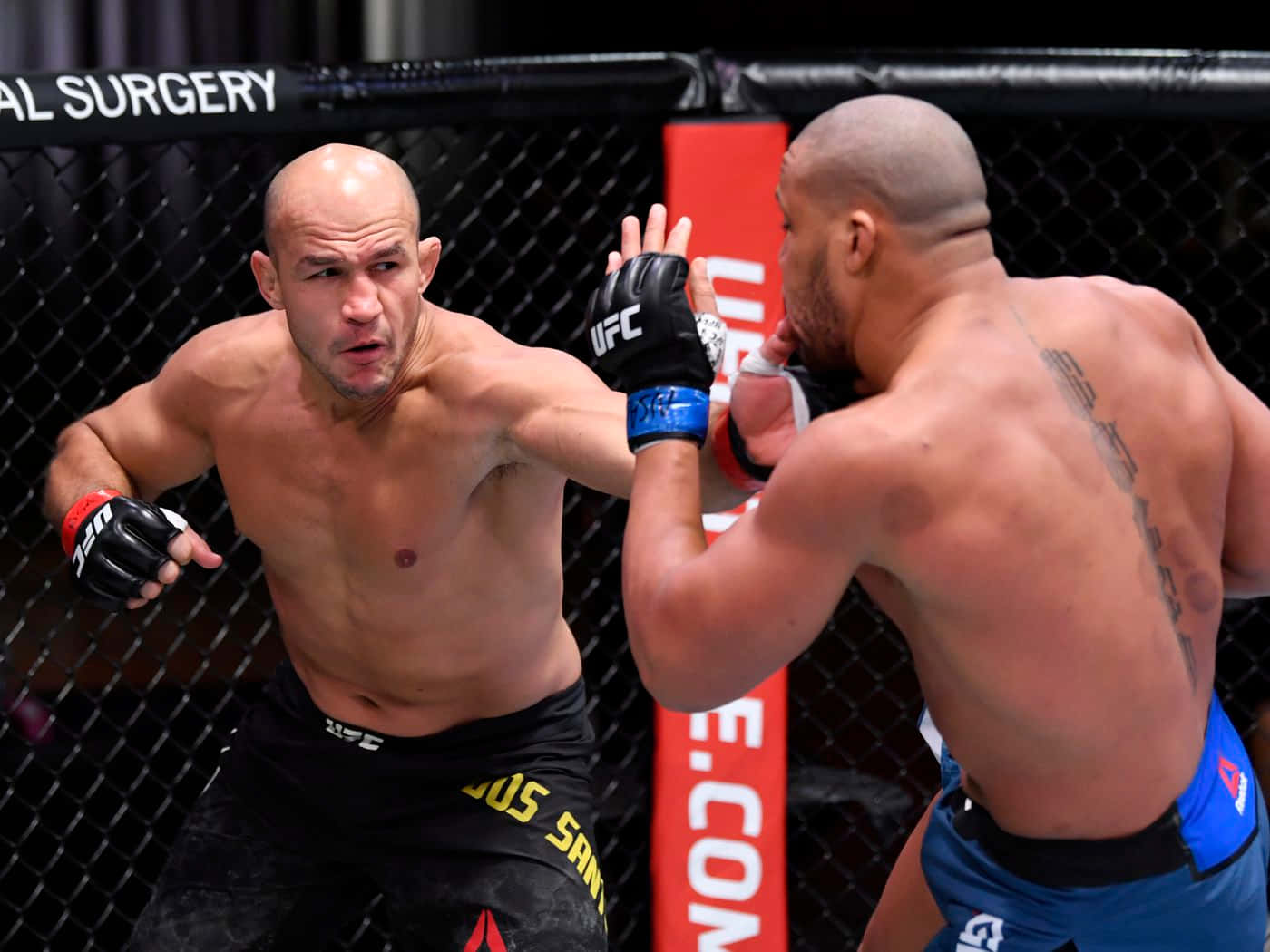 兩名男性MMA拳手在八角鐵籠內互相出拳。