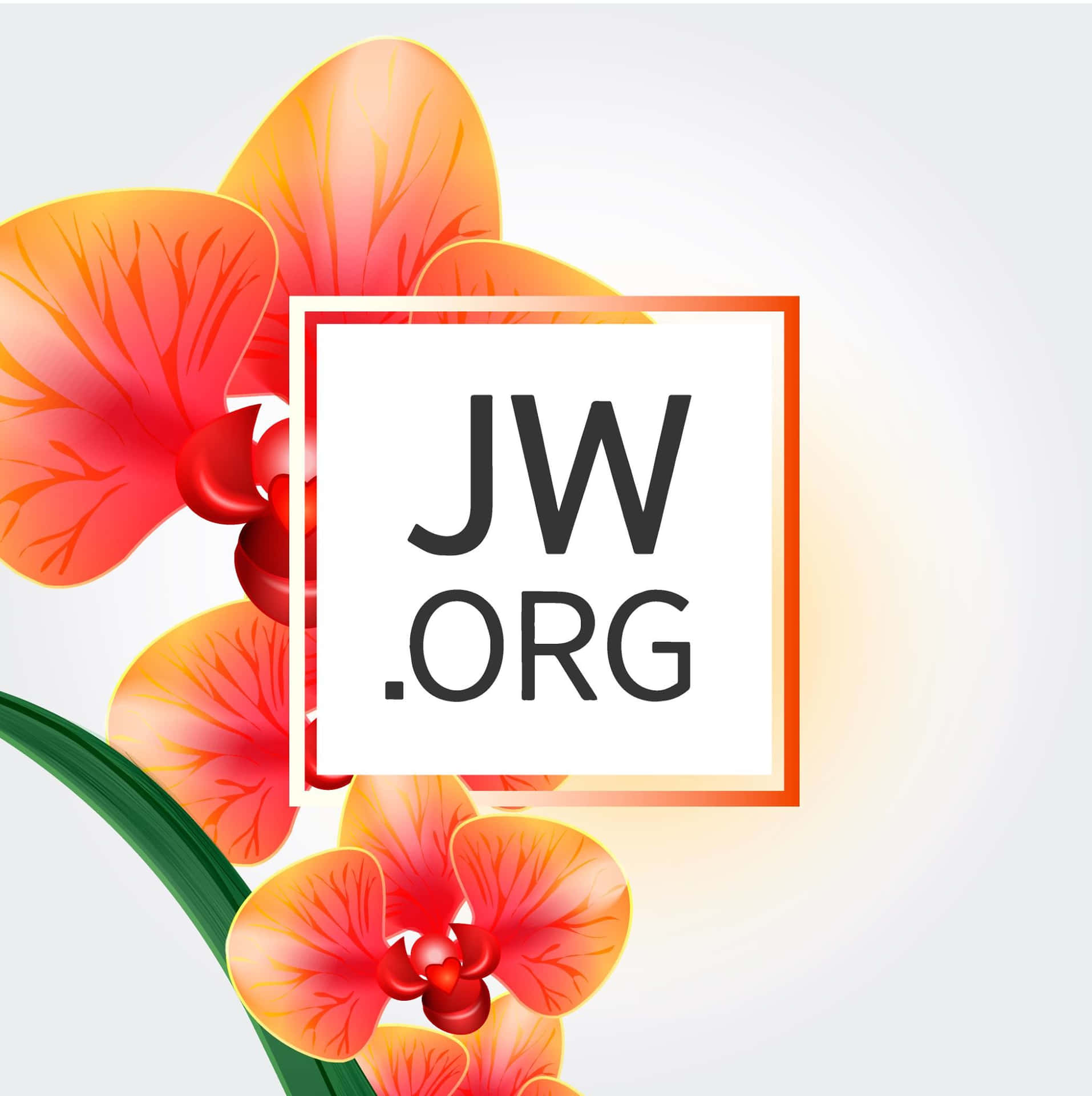 橙色框內的 JW.ORG 標誌，後面有橙紅色蘭花和綠色莖。