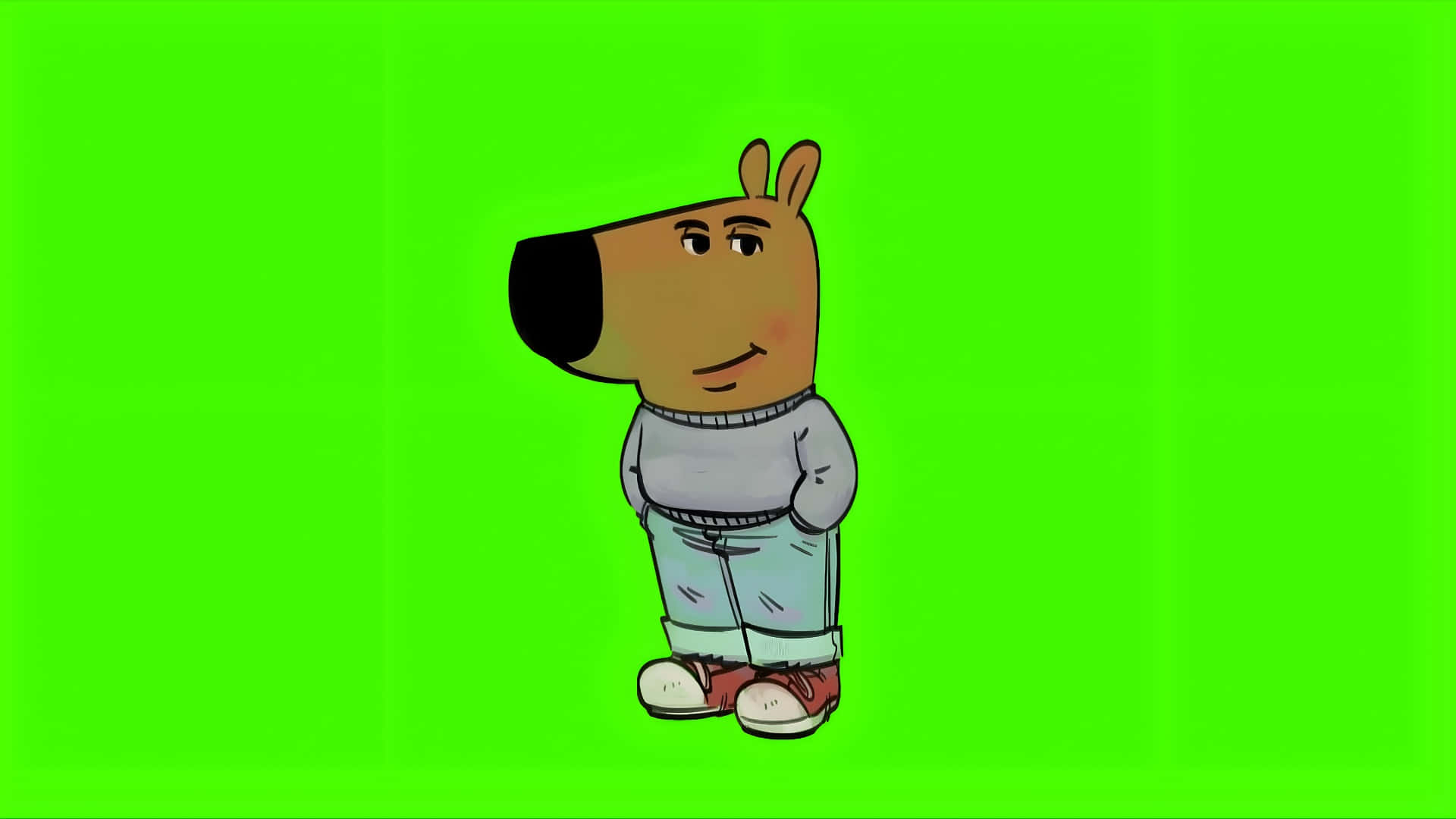  壁紙 — 卡通狗角色穿著休閒服裝站在明亮的綠色屏幕背景前。