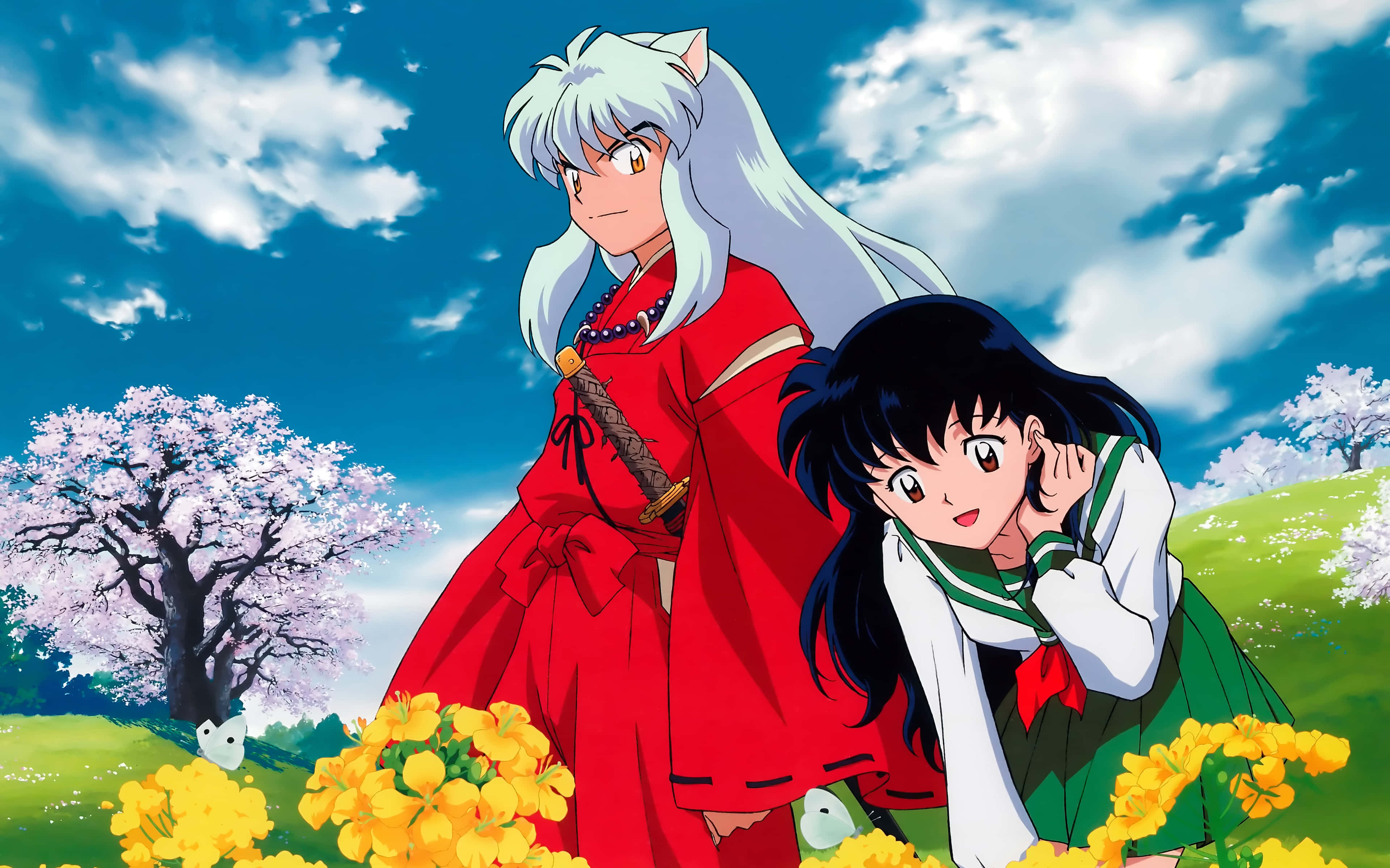 Kagome 與犬夜叉並肩而立 壁紙 — 兩個動漫角色站在一片充滿活力的黃色花田中，藍天下有櫻花樹。