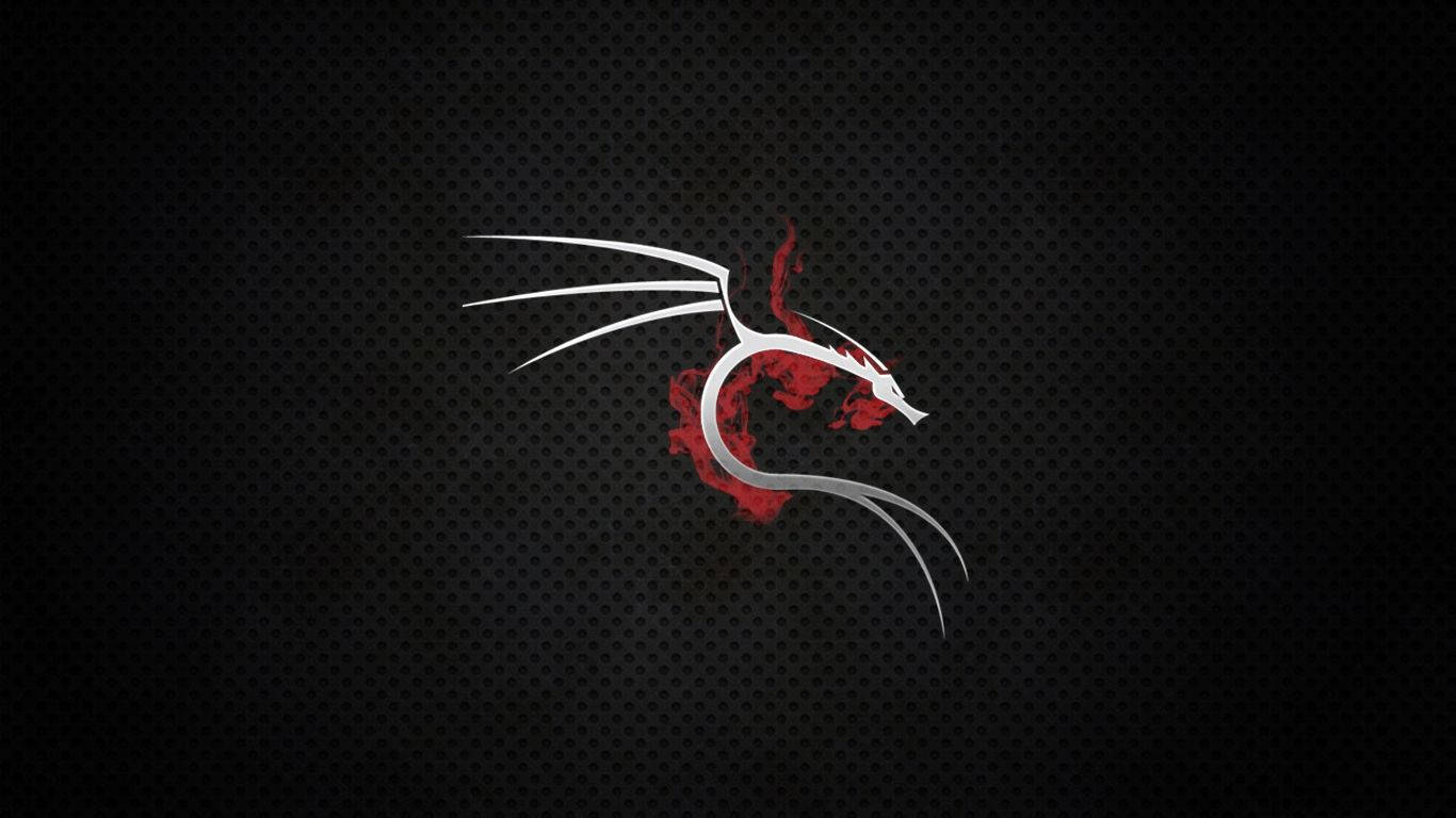 Kali Linux 焚燒巨龍 壁紙 — 一條流線型的銀色龍，帶有紅色火焰點綴，在深色穿孔背景上出現。