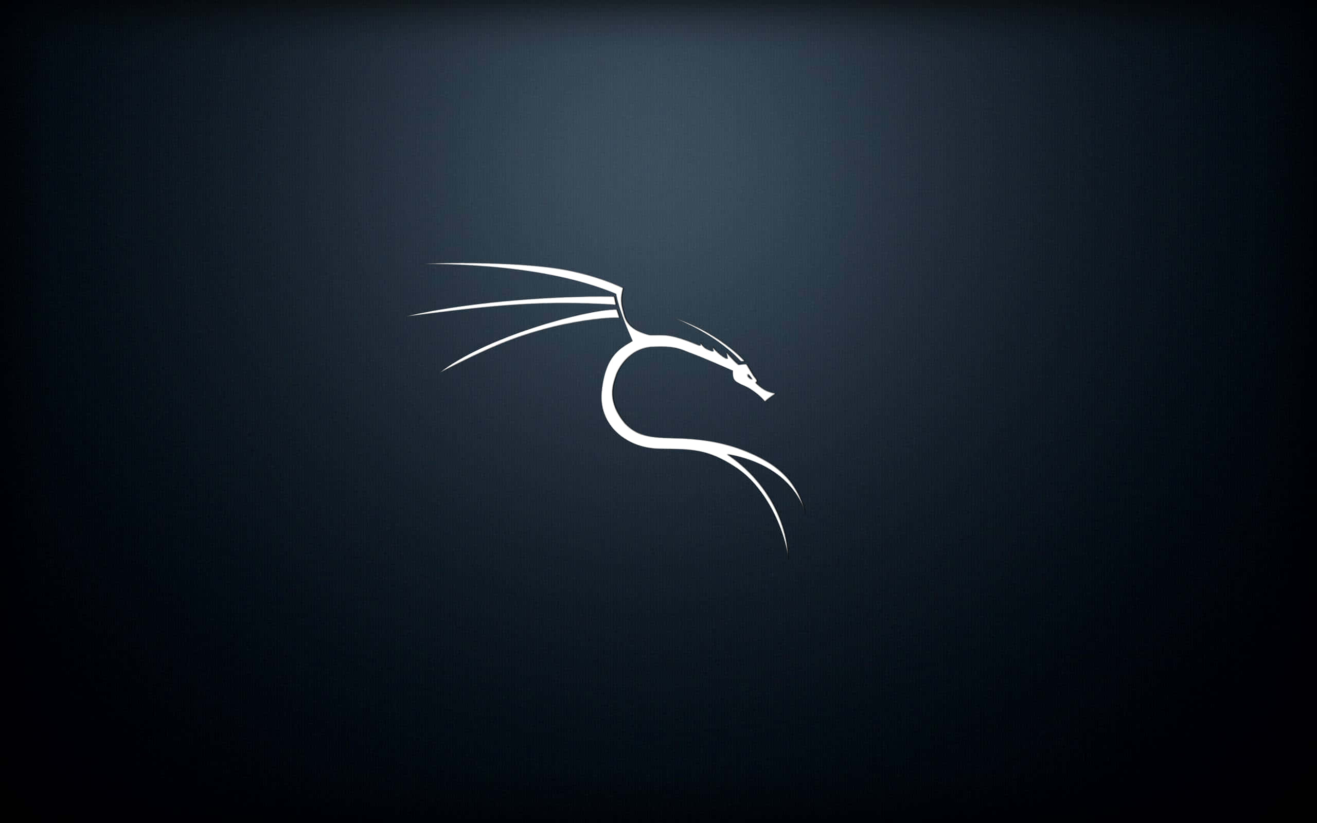 Kali Linux 圖片 壁紙