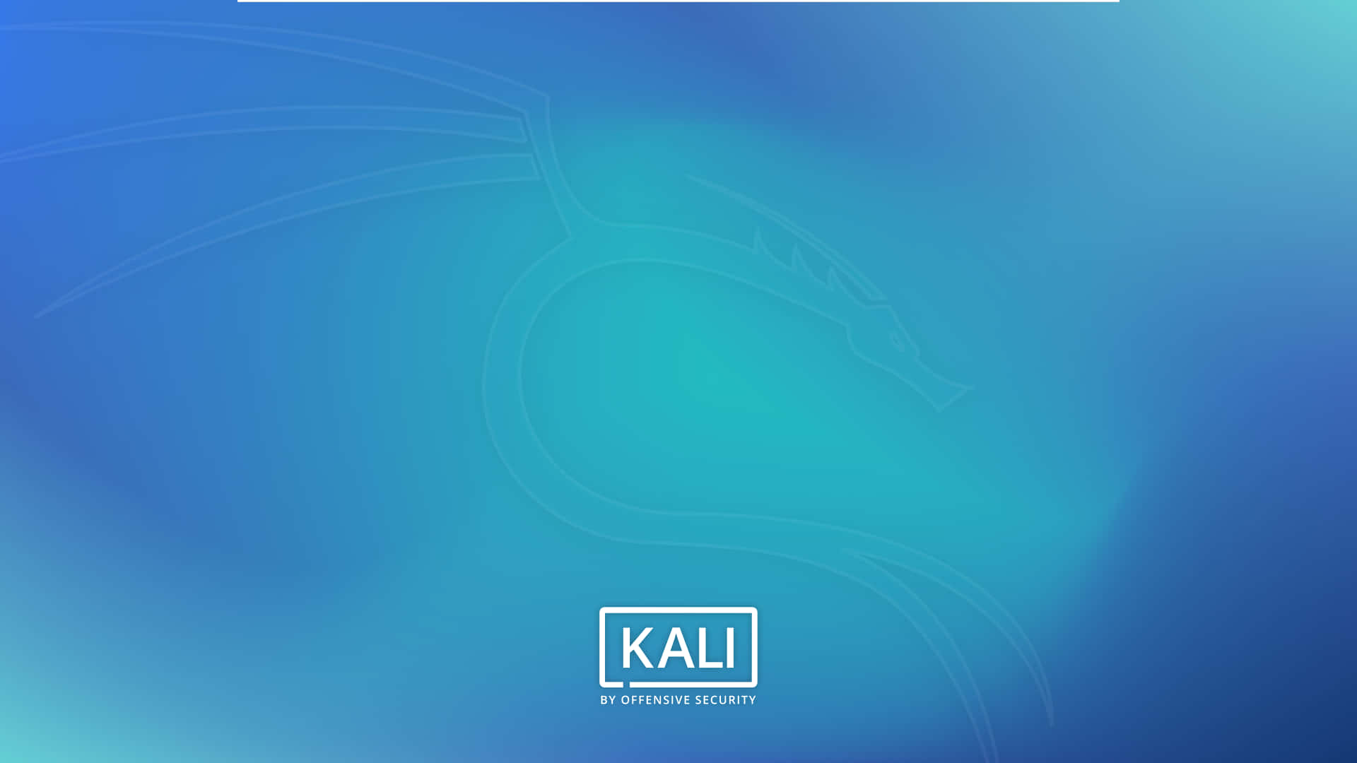 Kali Linux 圖片 壁紙