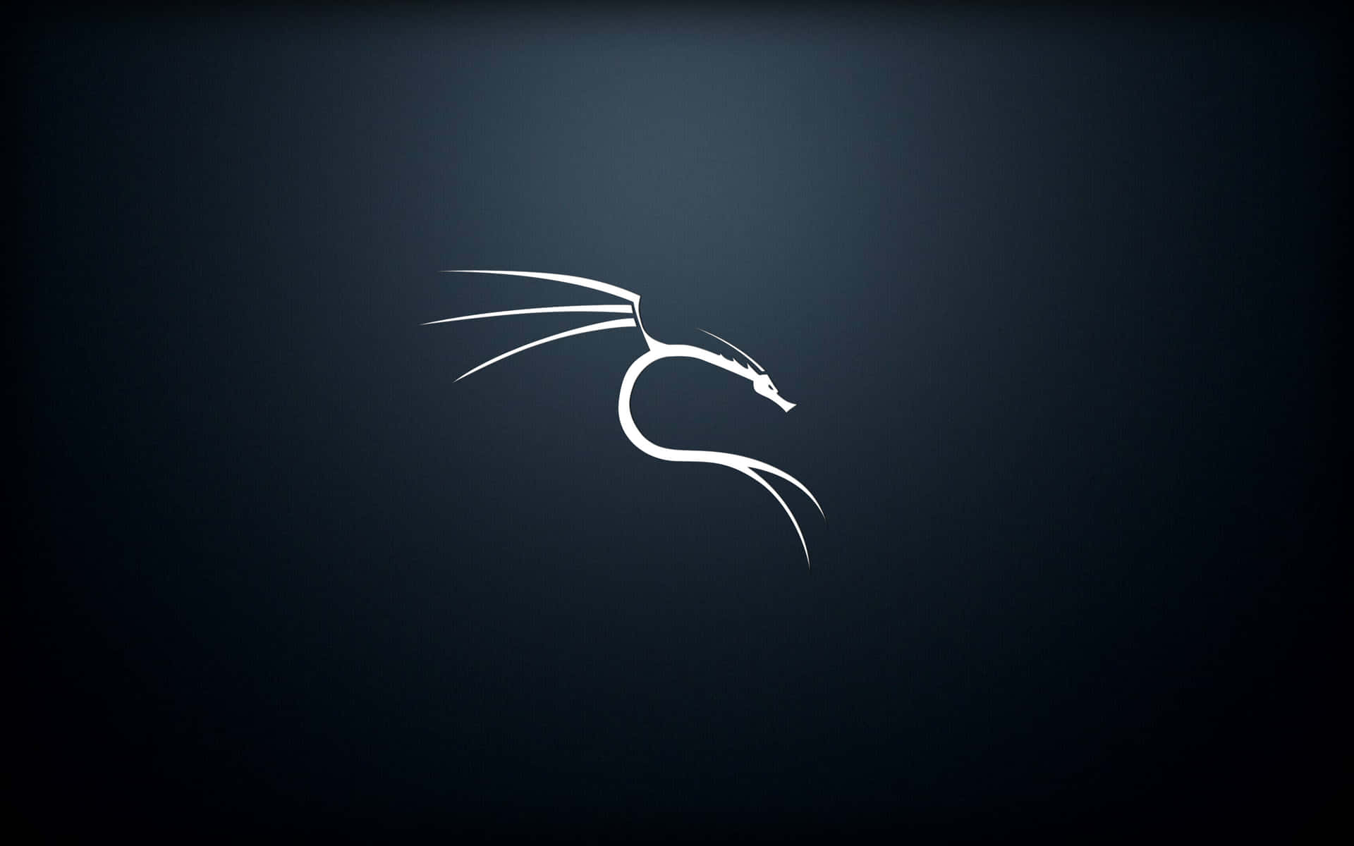 Kali Linux 圖片