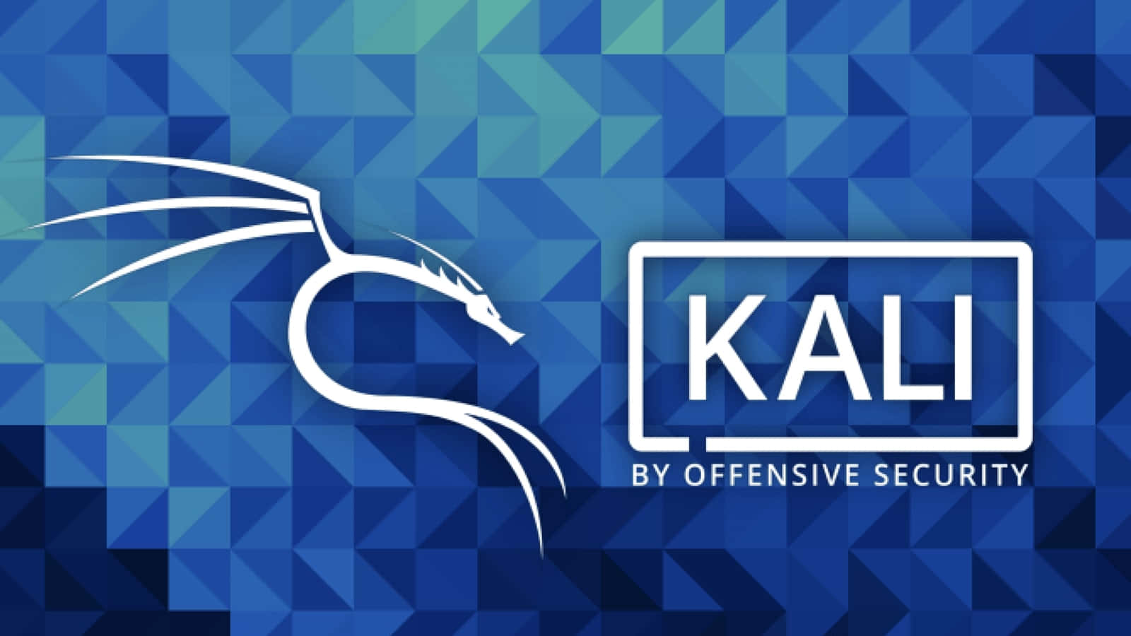 Kali Linux 圖片