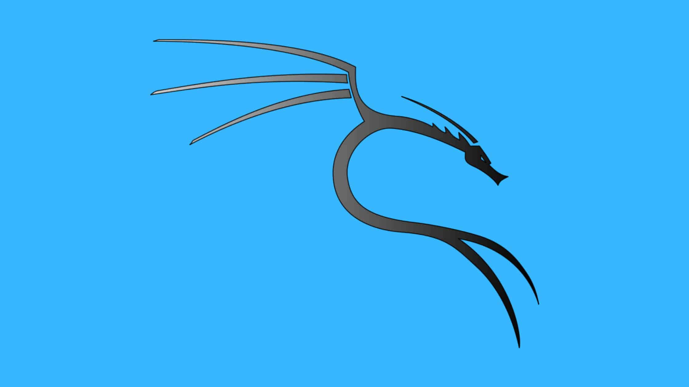Kali Linux 圖片 壁紙