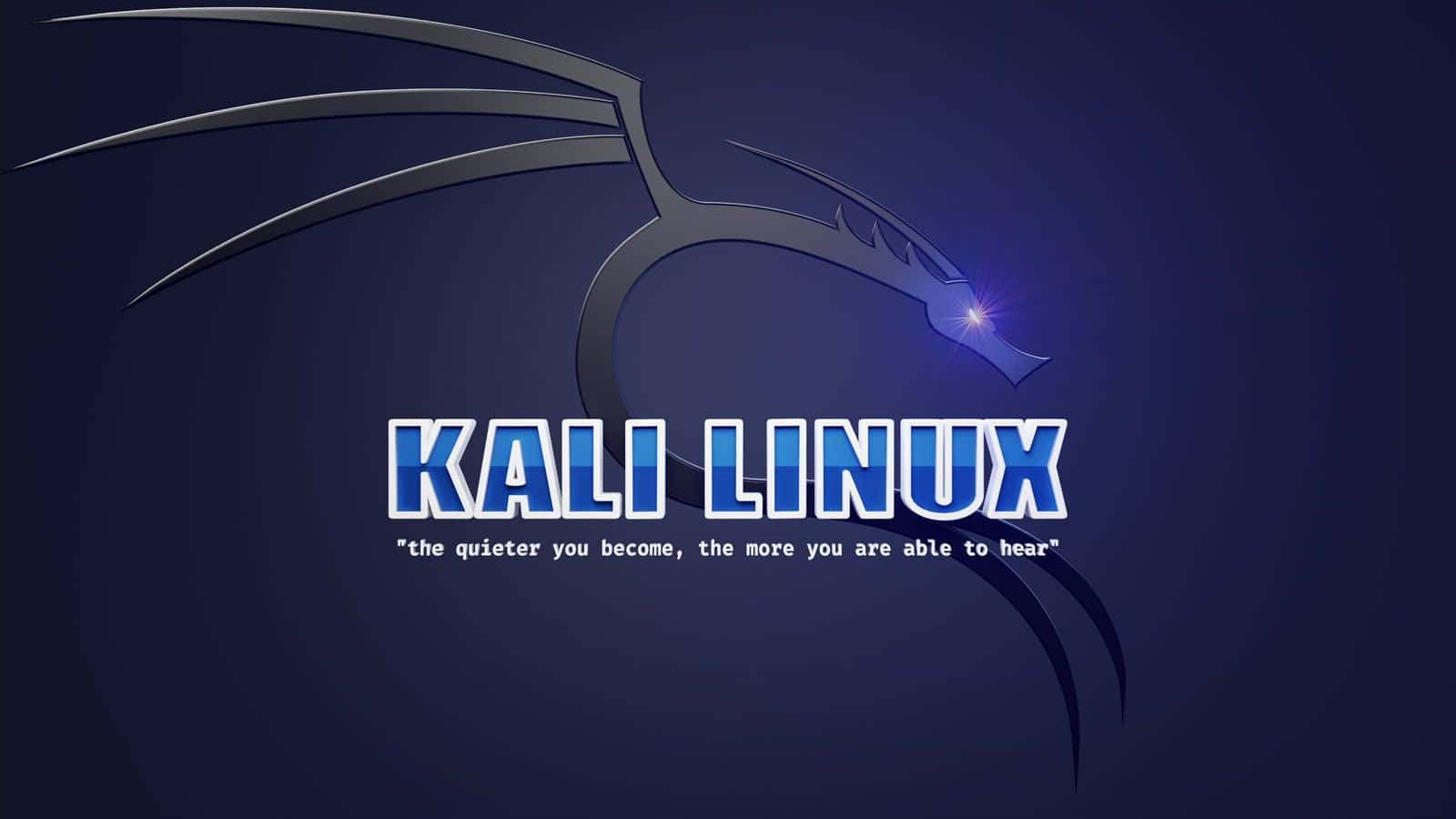 Kali Linux 圖片