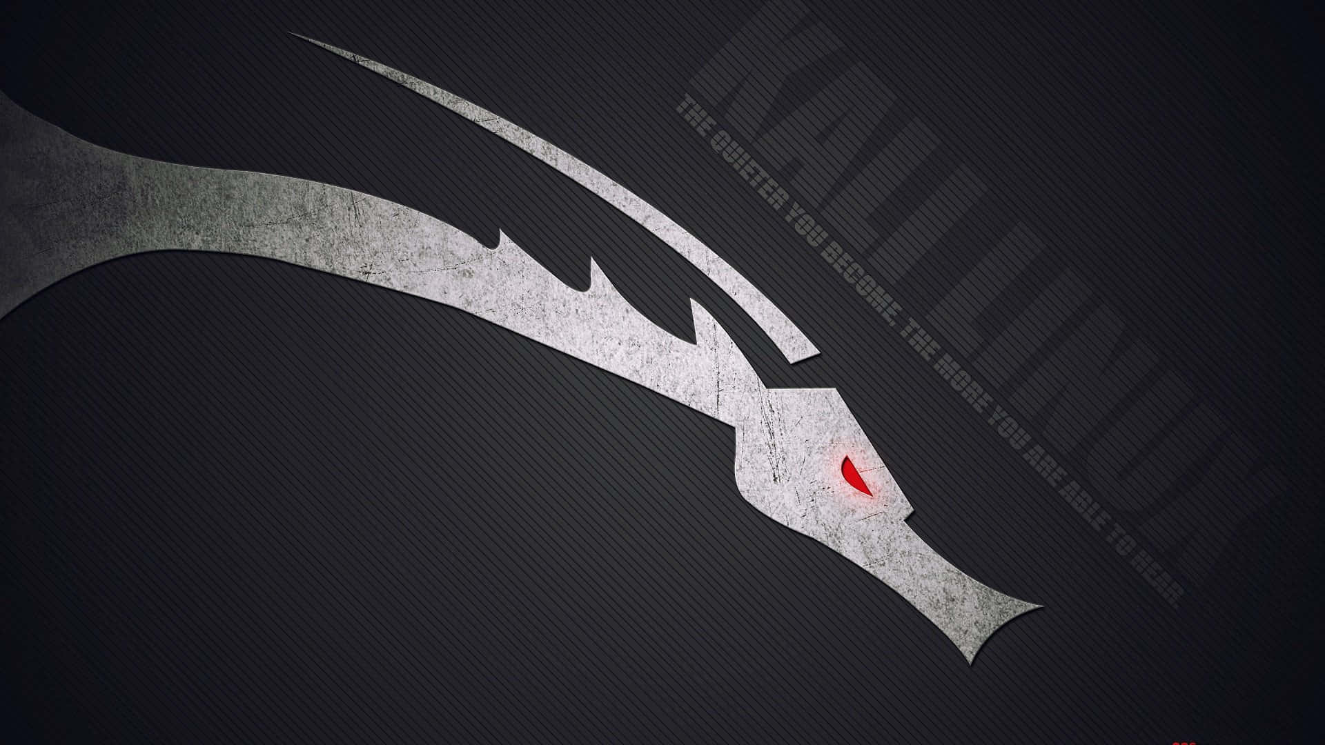 Kali Linux 圖片