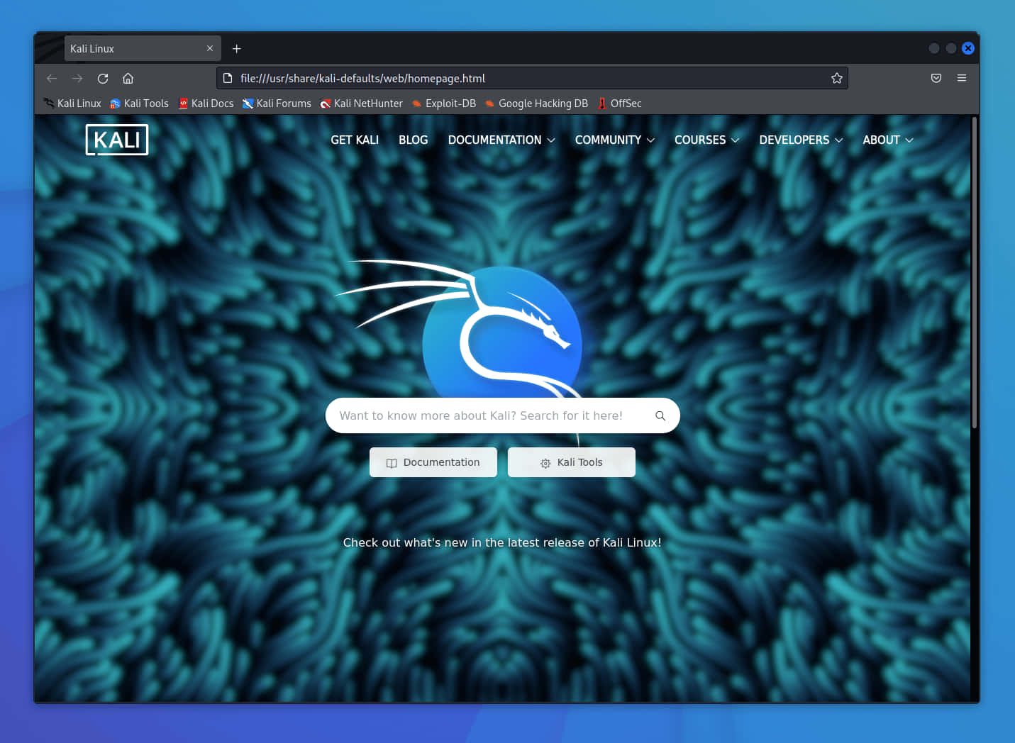Kali Linux 圖片