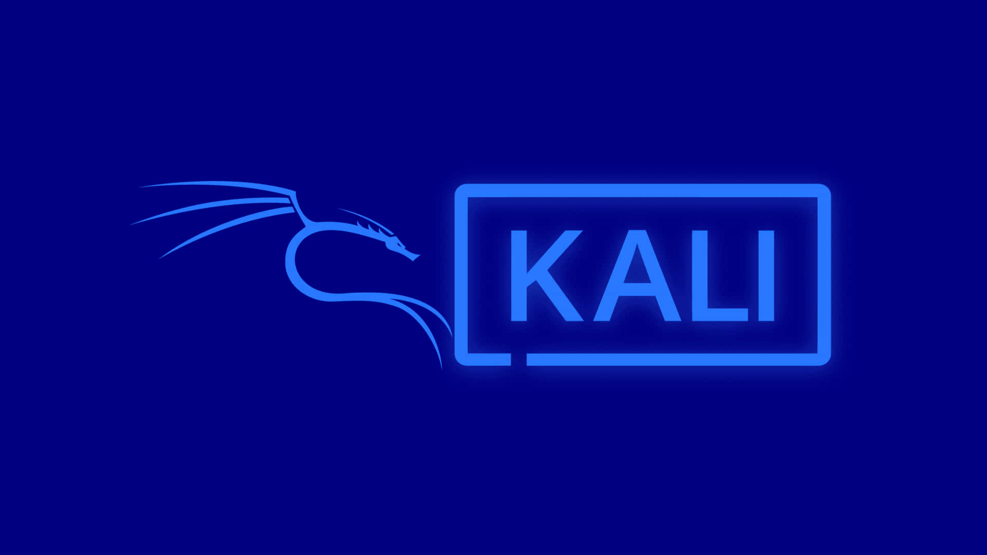 Kali Linux 圖片