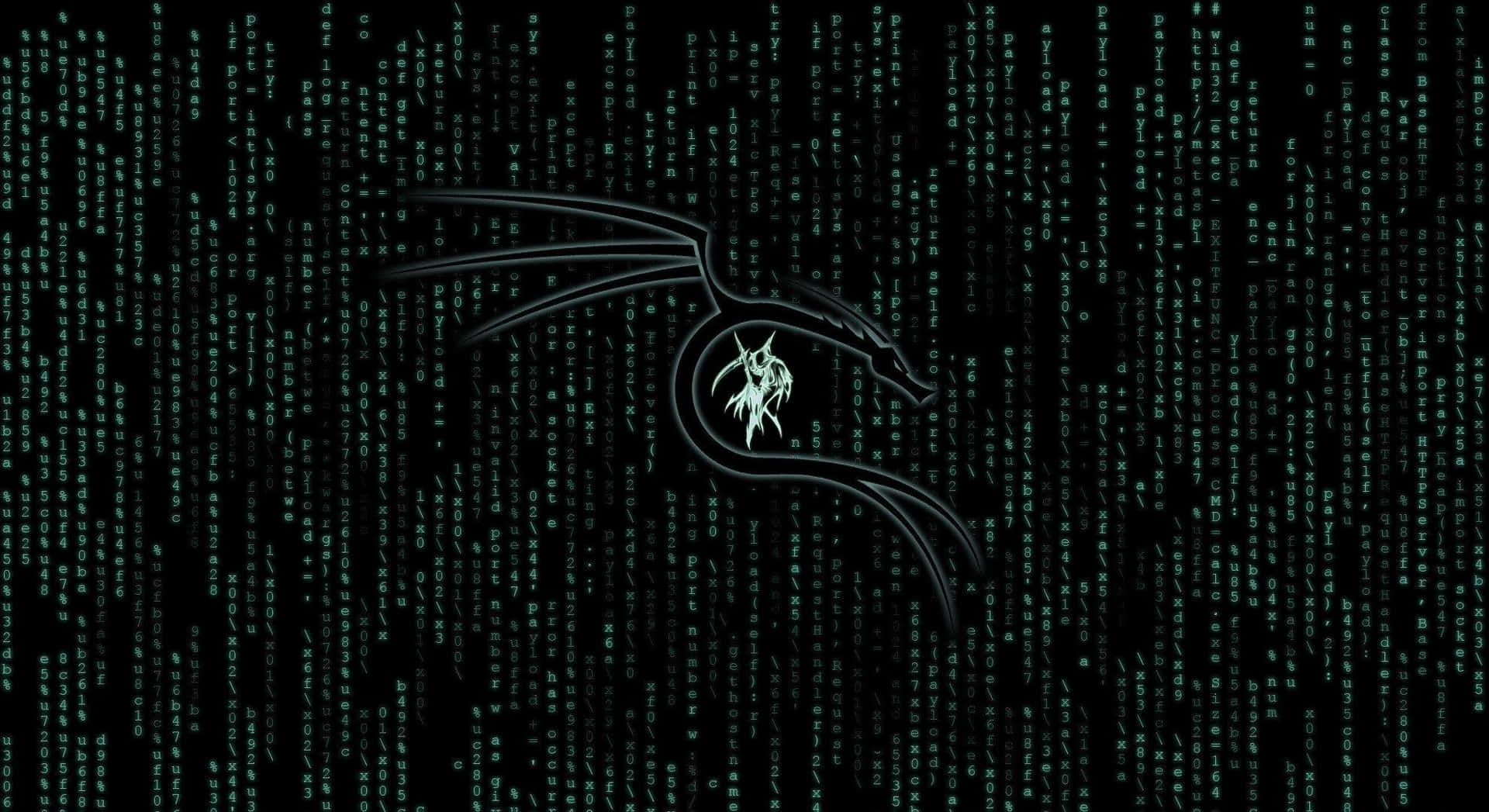 Kali Linux 圖片