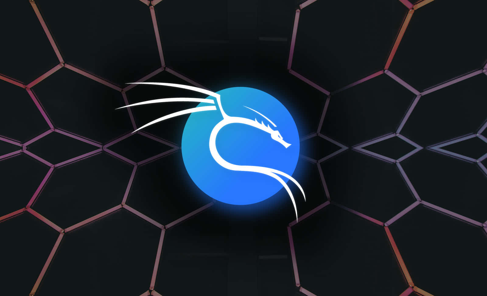 Kali Linux 圖片