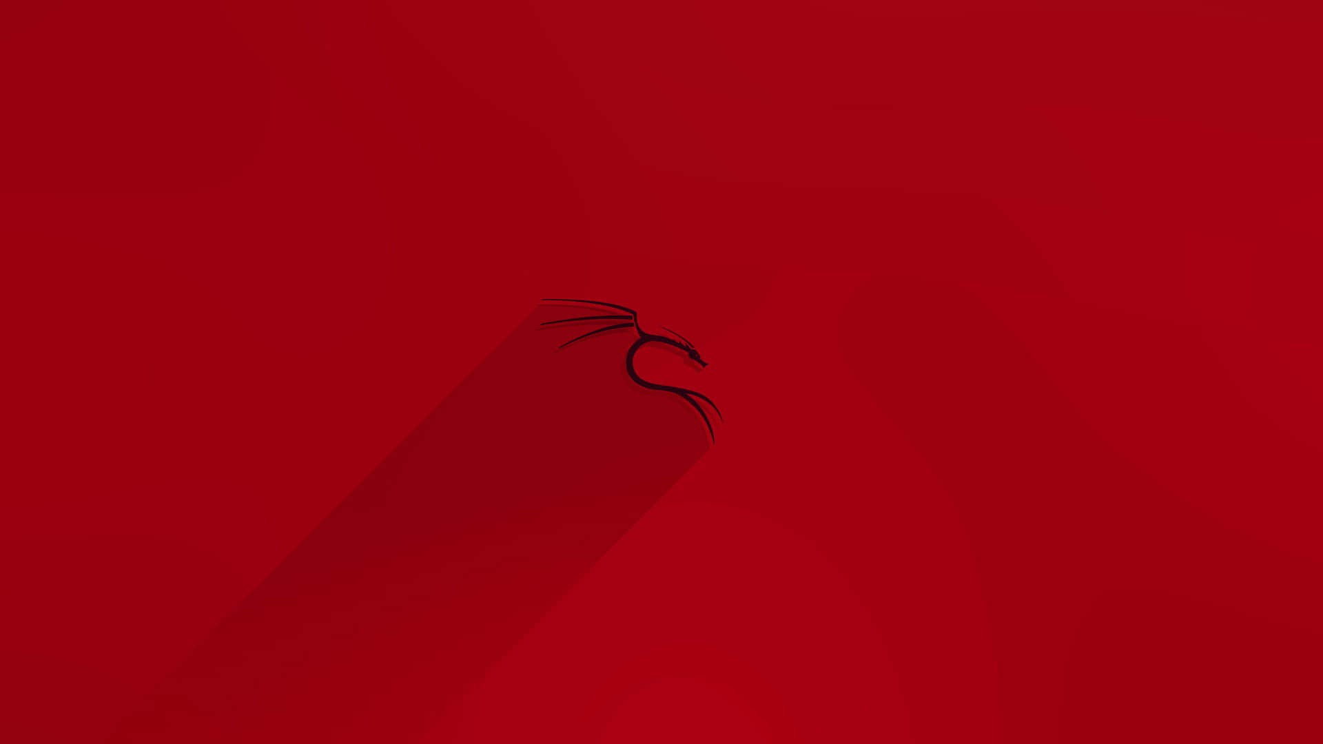 Kali Linux 圖片