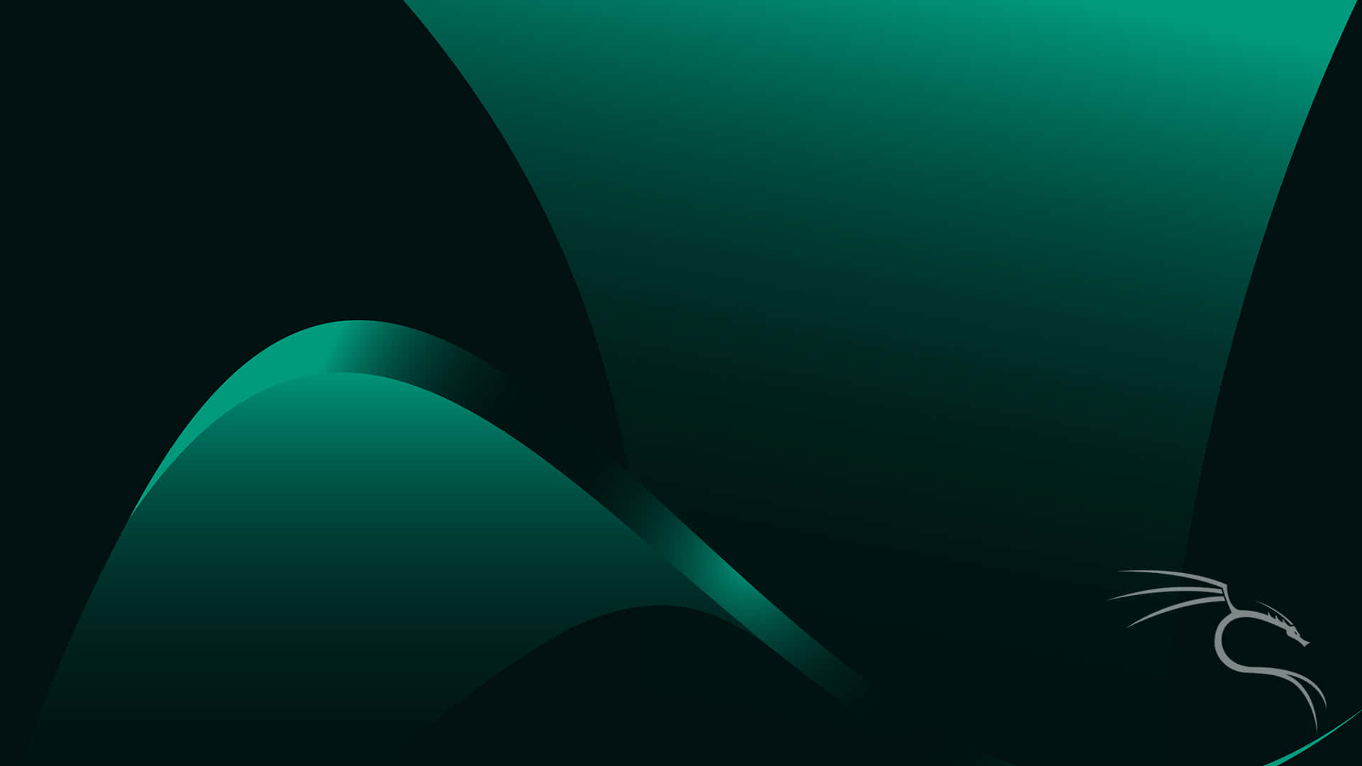 Kali Linux 圖片